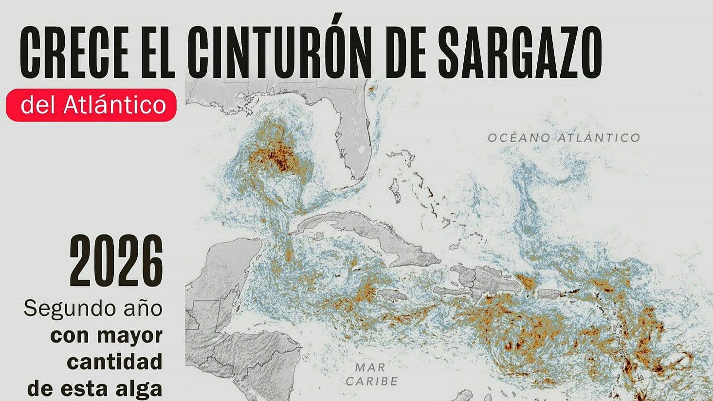 NASA Muestra Cómo Luce Enorme Cinturón de Sargazo en el Atlántico