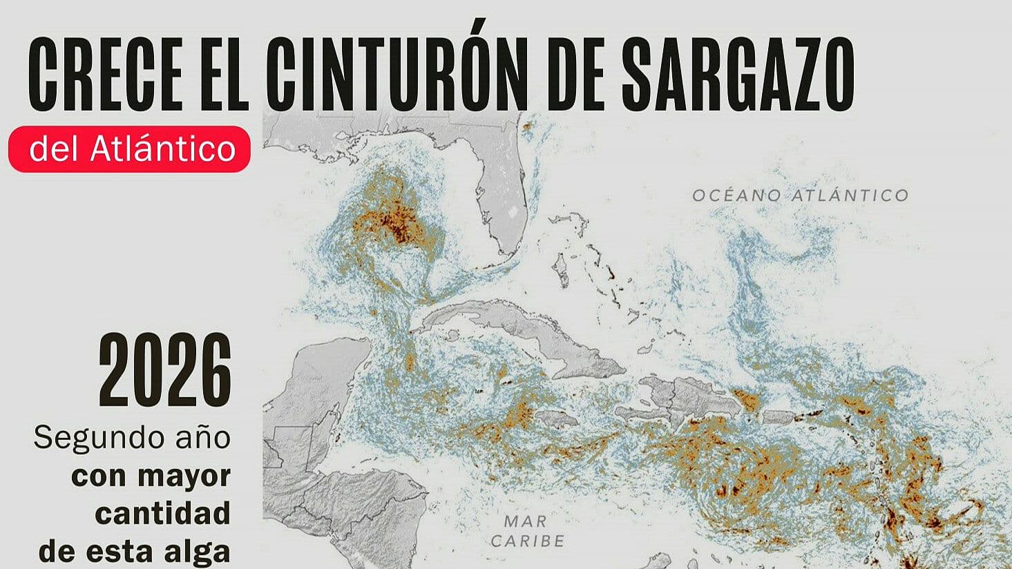 NASA Muestra Cómo Luce Enorme Cinturón de Sargazo en el Atlántico