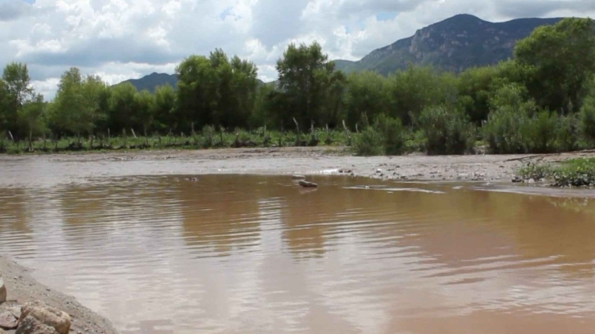 Observatorio Reúne la Mayor Información Sobre el Derrame en el Río Sonora