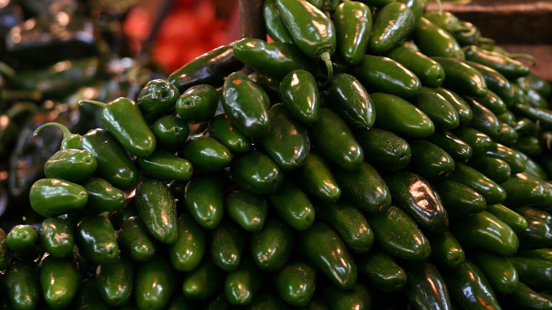 Brote de Salmonela Enciende las Alertas en Estados Unidos
