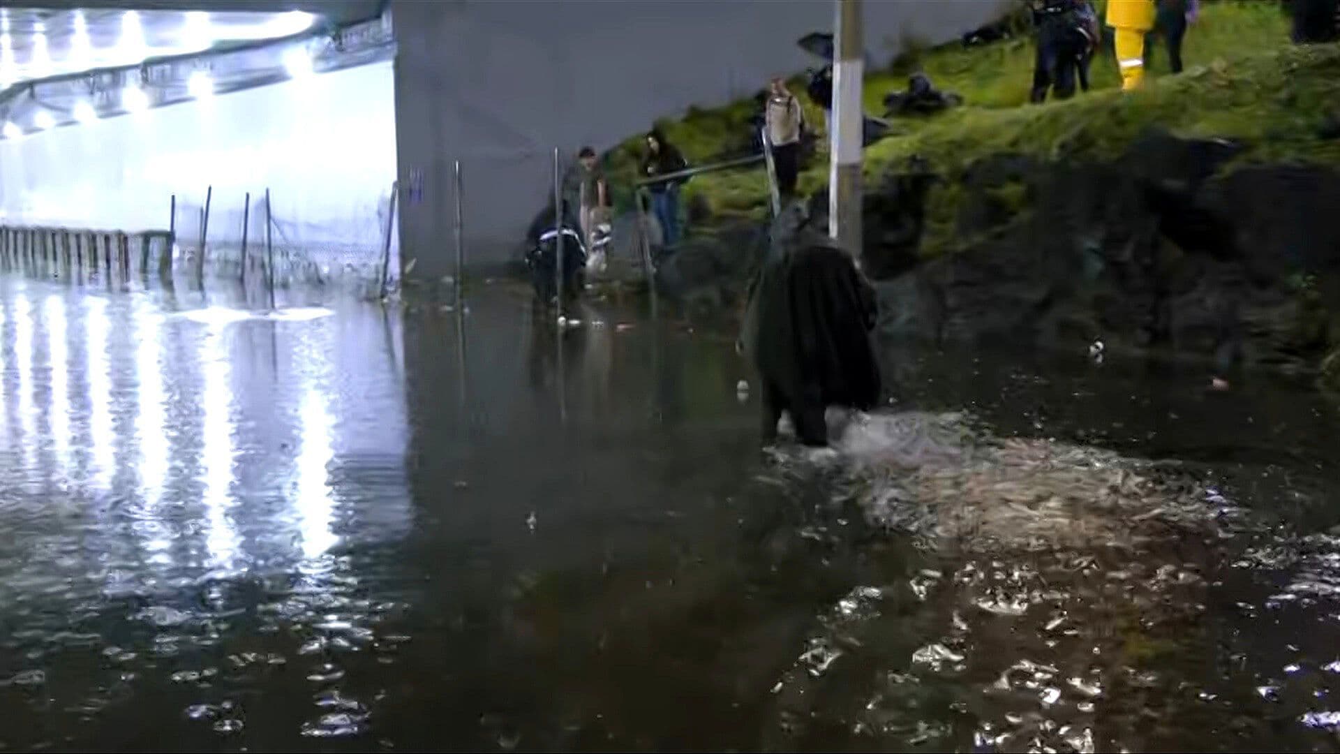 VIDEO: Así se ve la Inundación que Detiene la Movilidad en Picacho Ajusco, en Tlalpan