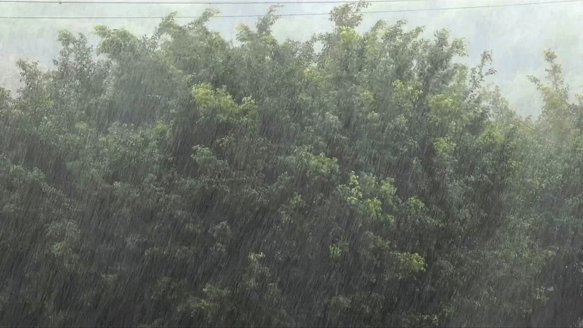 Se Esperan Lluvias Intensas en Nayarit, Jalisco, Colima, Michoacán y Guerrero