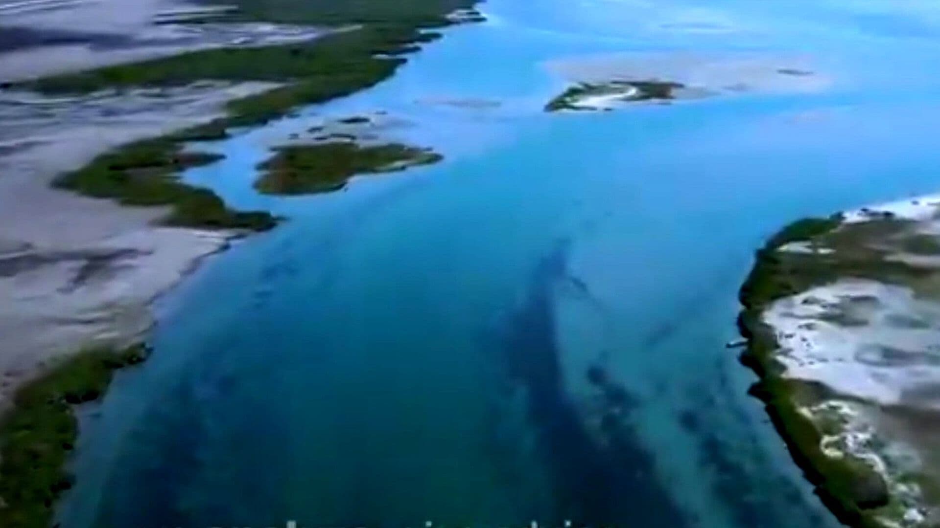 Golfo de California: Islas y Áreas Protegidas Están en la Lista del Patrimonio en Peligro