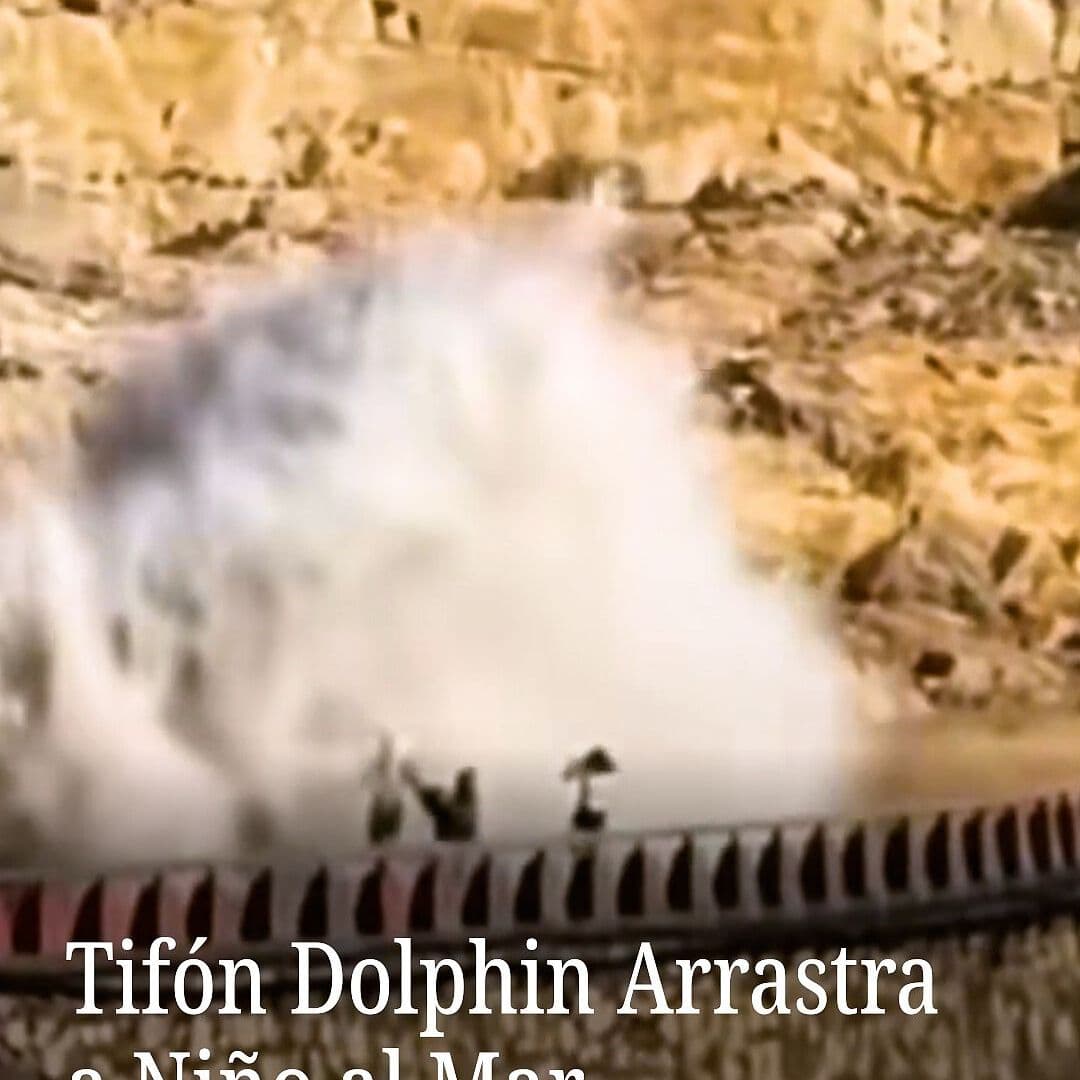Tifón Dolphin Arrastra a Niño al Mar