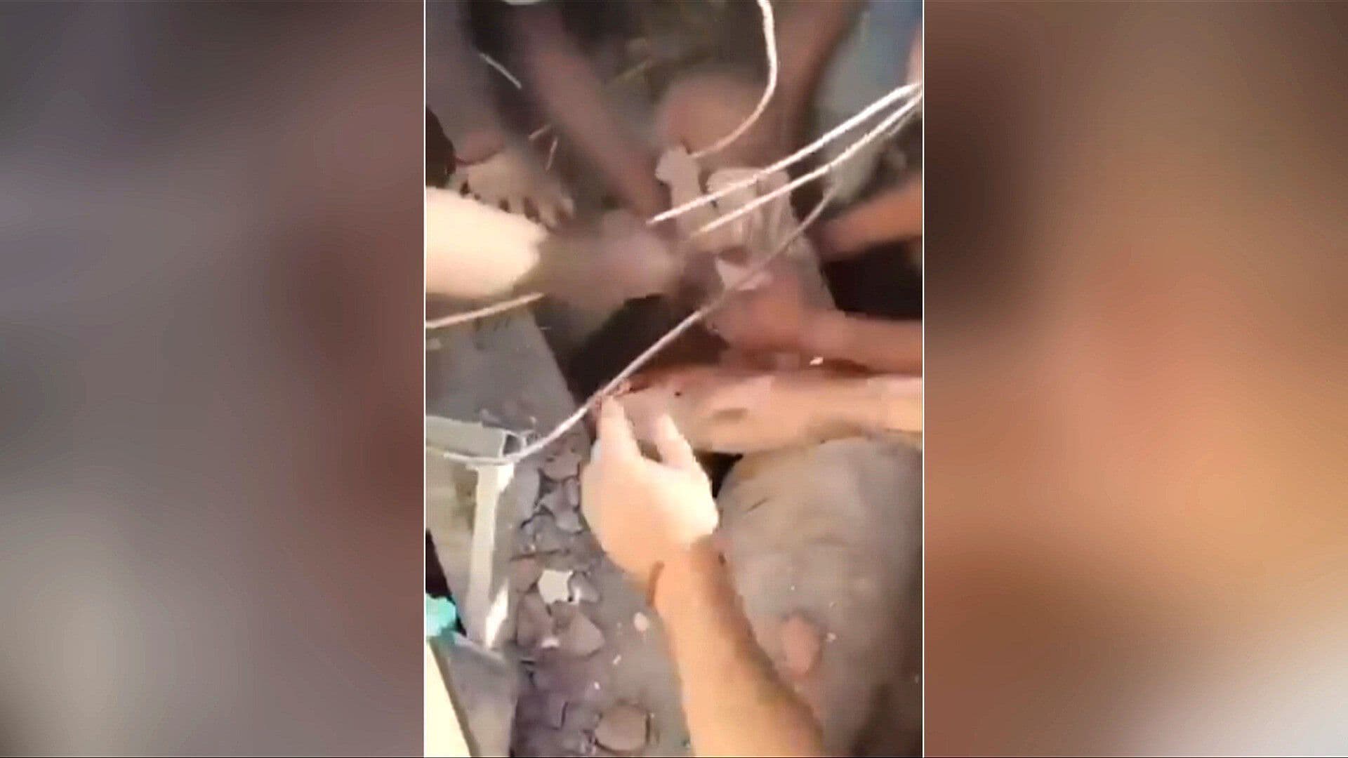 “Paramédico, un Paramédico”; Milagro en Cali: Rescatan con Vida a Madre y Bebé Tras Terremoto 7.4 Hoy en Colombia