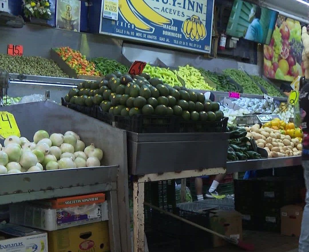 Baja el Precio del Aguacate Hasta 27 Pesos el Kilo en la Zona Metropolitana de Guadalajara