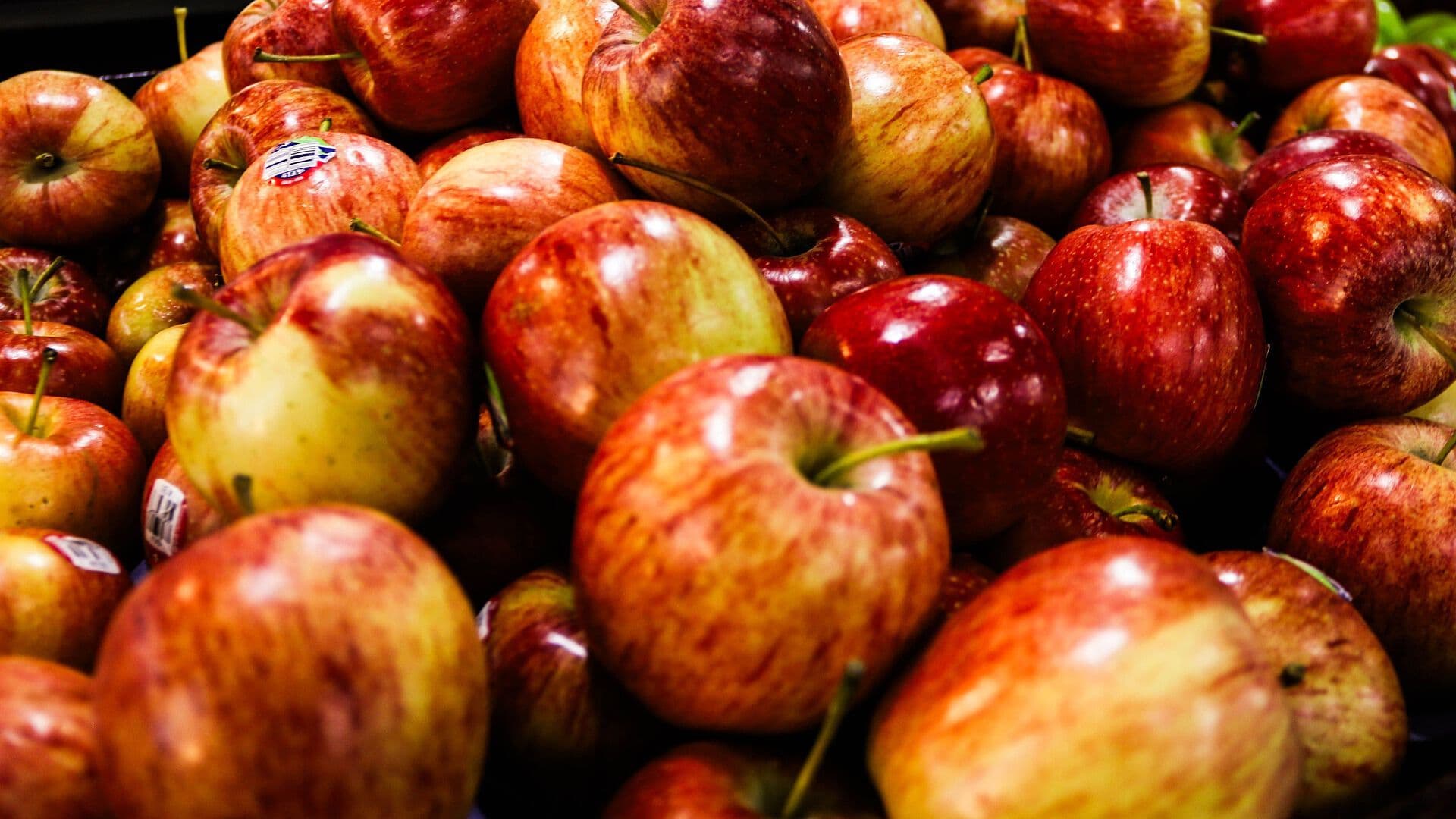 Así es la Cosecha de Manzanas en Zacatlán, Puebla