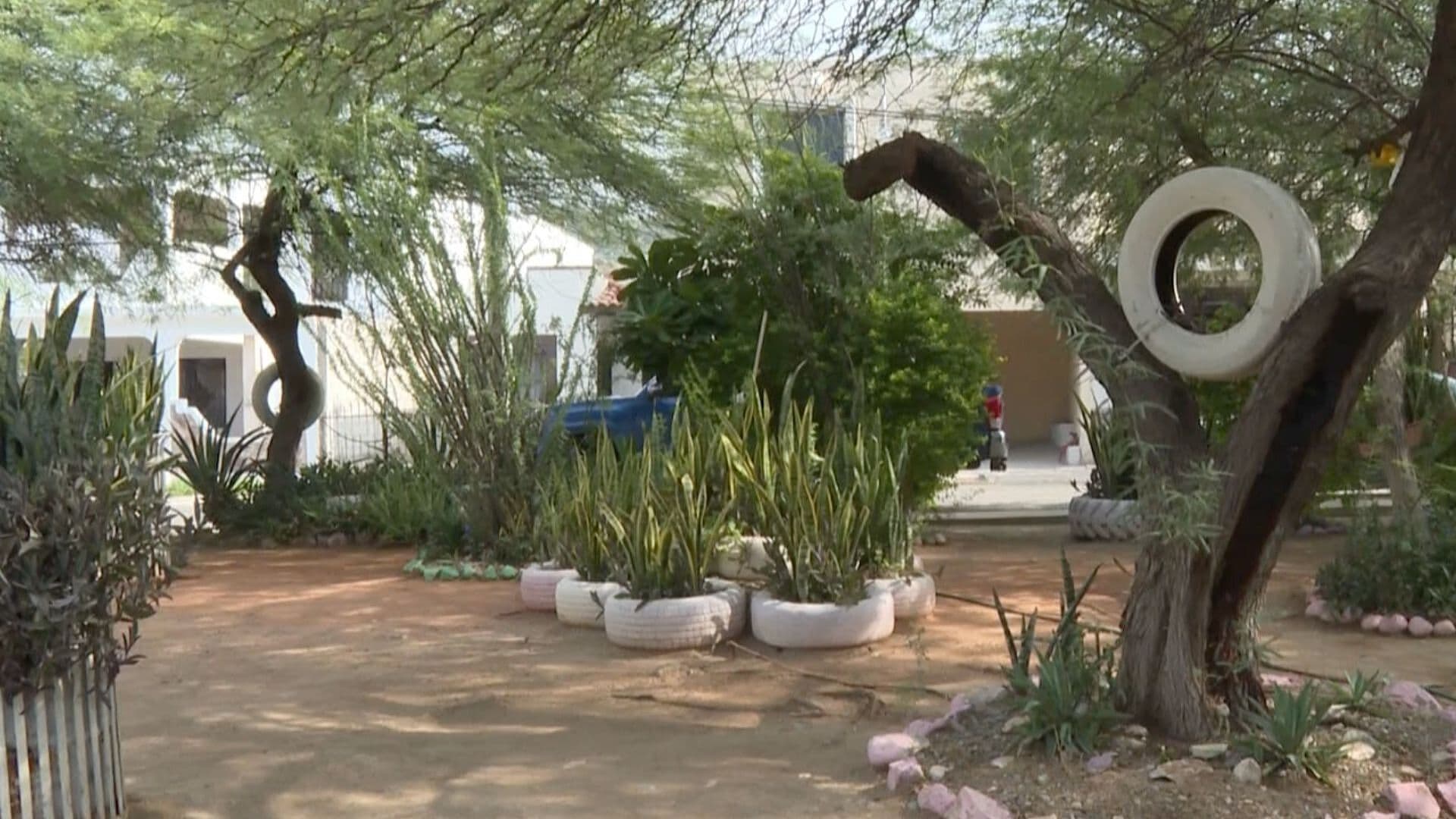 Vecinos Reforestan Parque de Colonia Privadas del Mirador 1 en Hermosillo, Sonora
