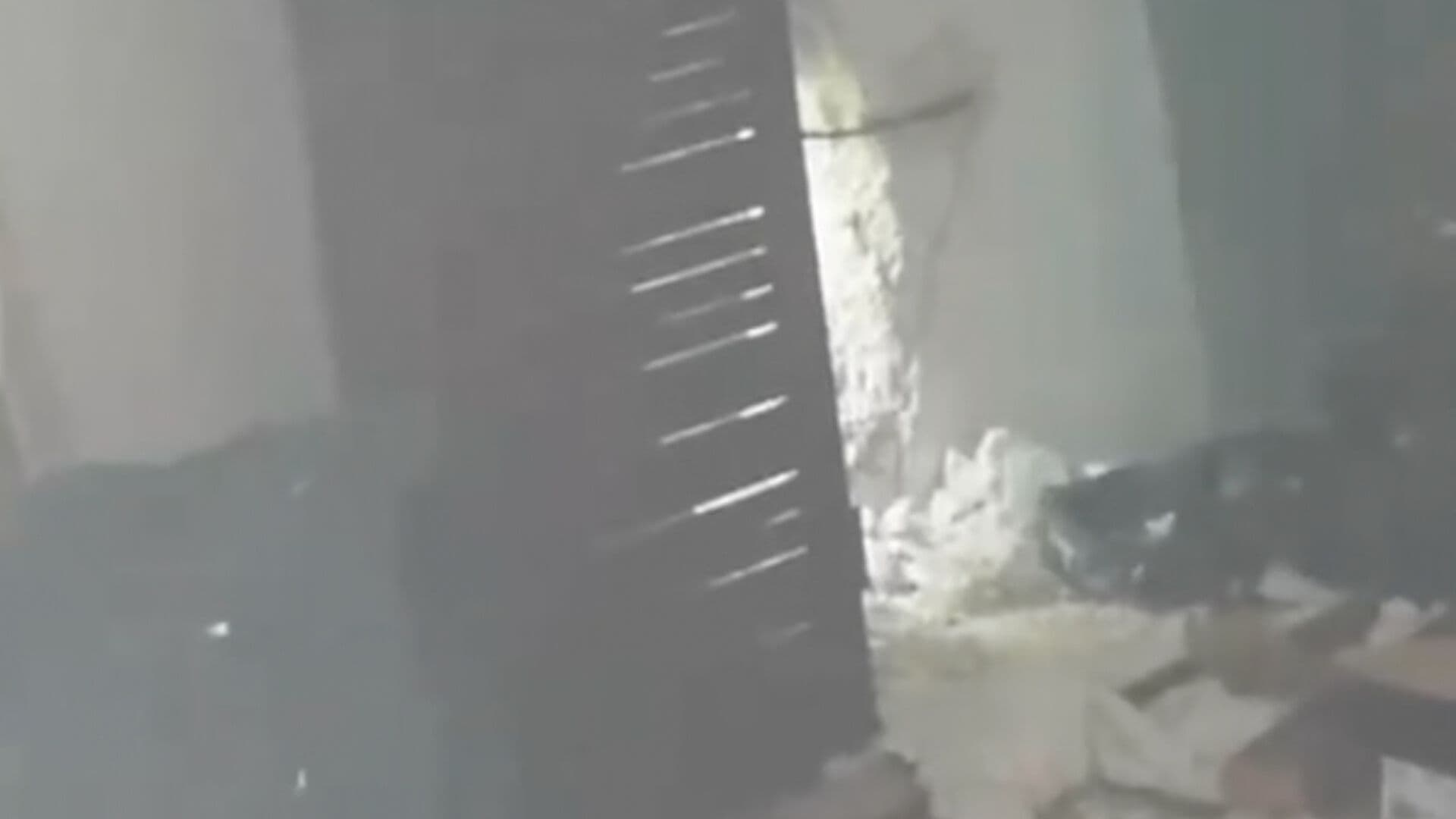 Séptima Vez Robo a Casa de Familia en Puebla Video Invasión Allanamiento Morada