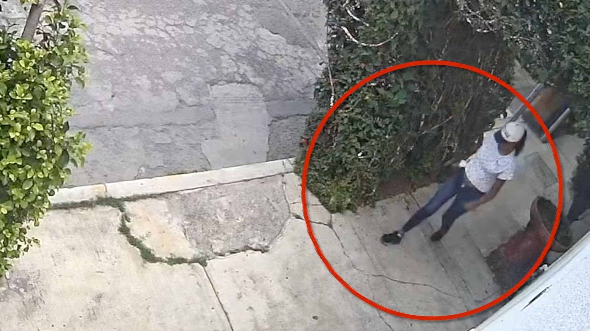Video Mujer Miccionando Banqueta Calles de Junta Auxiliar La Libertad Puebla