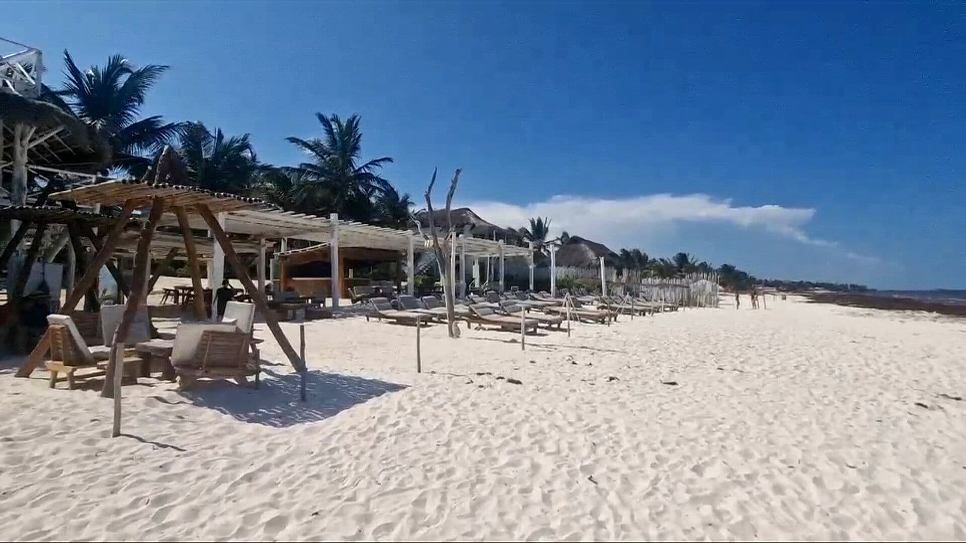 Cofepris Descarta Parásito Cyclospora en 16 Hoteles de la Riviera Maya Tras Alerta