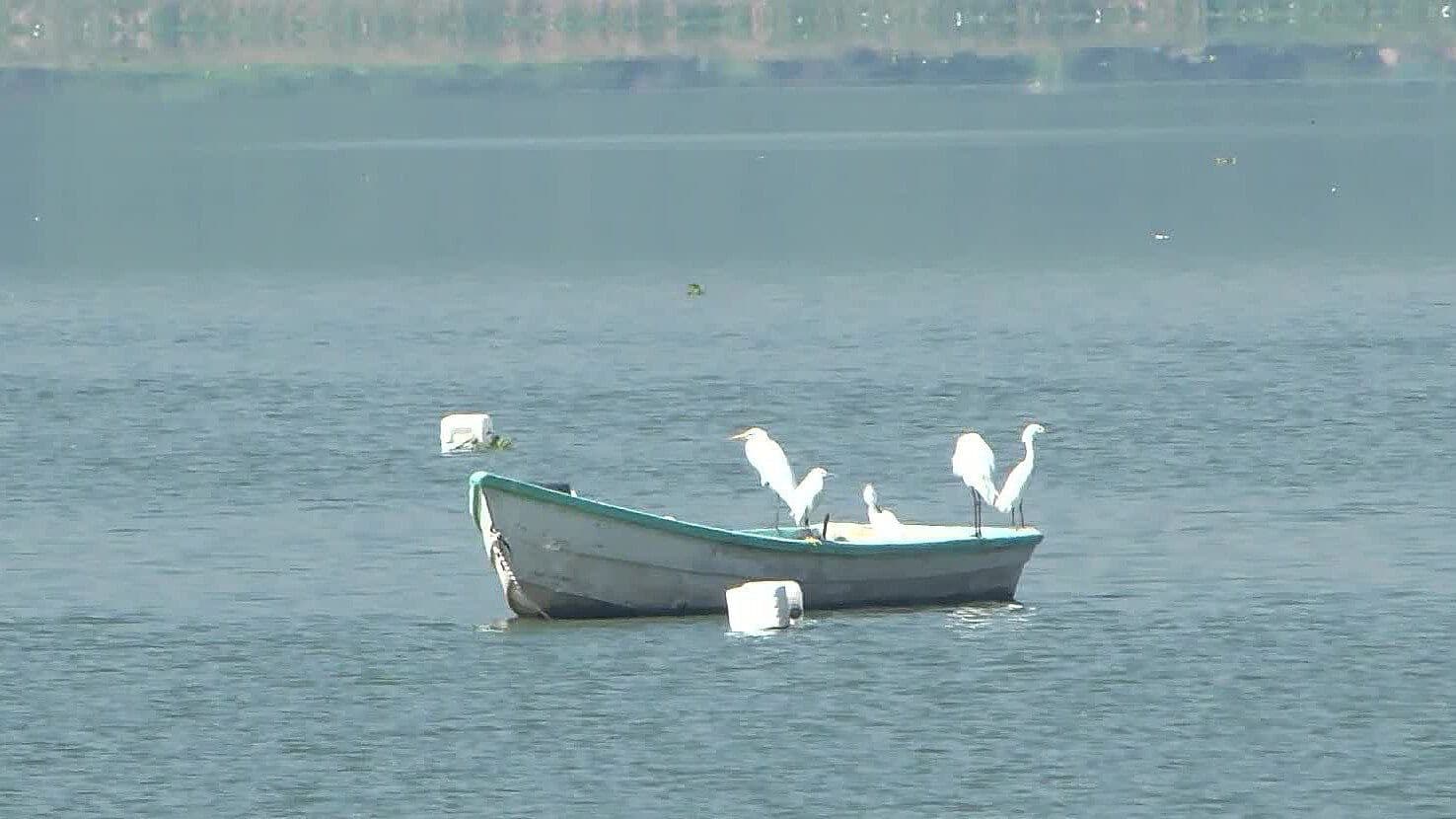 Pescadores de Cajititlán Reciben Subsidio de 65 Mil Pesos ante Disminución de Actividad
