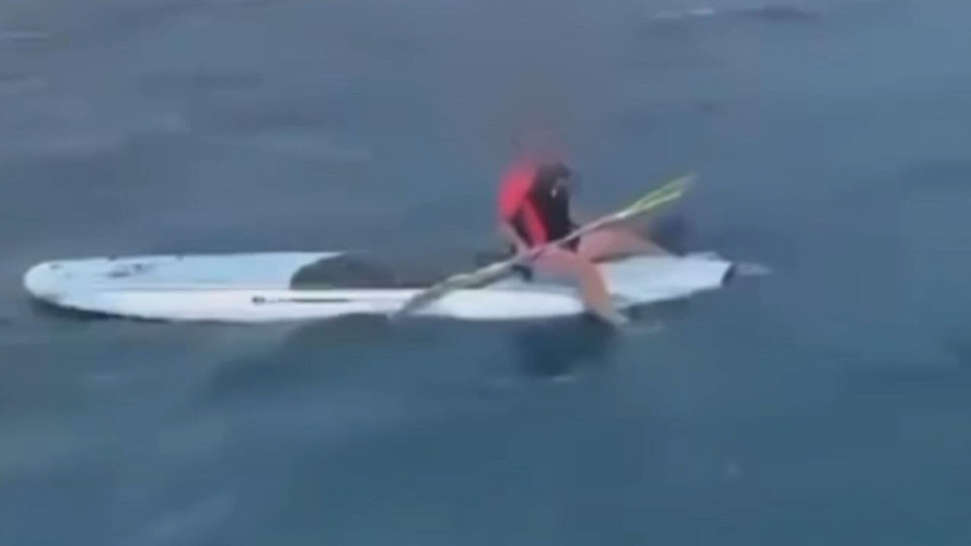 VIDEO | Así Rescatan a Niña Sola que Flotaba con Tabla en Mar de La Paz