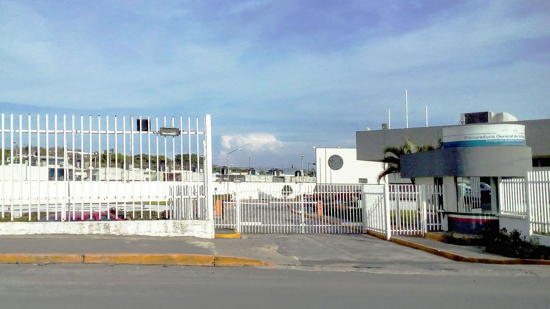 Detienen a un Hombre por Presuntos Delitos Contra la Biodiversidad en Veracruz Tenía una Iguana
