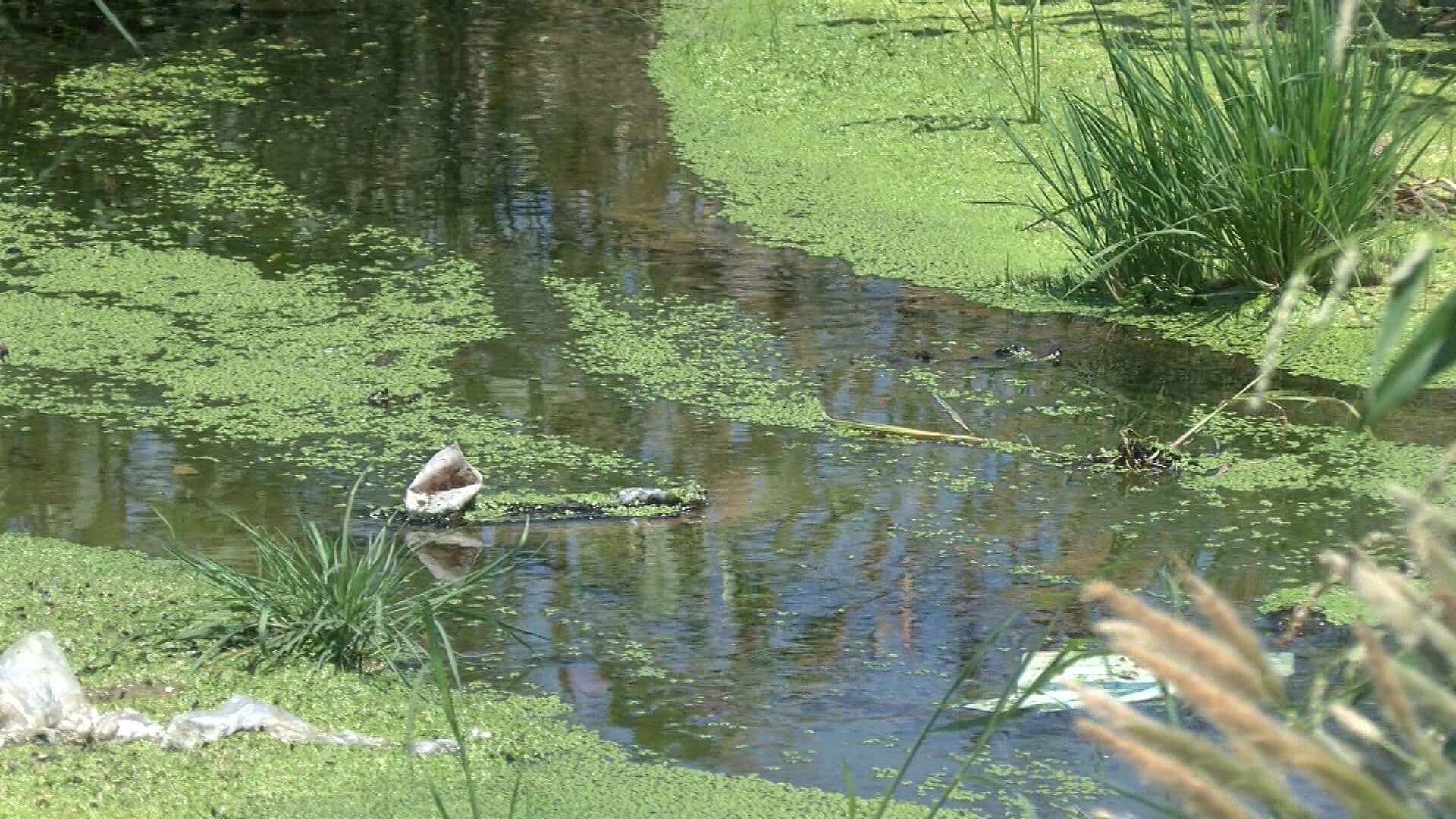 Profepa Investiga Fuentes de Contaminación en Río Tijuana y Zona Costa de Baja California