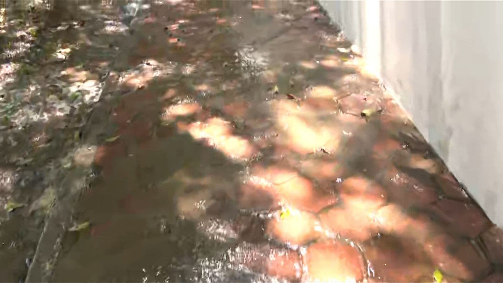 Fuga de Agua en Colonia Avante; Se Desperdician Miles de Litros del Vital Líquido en Coyoacán