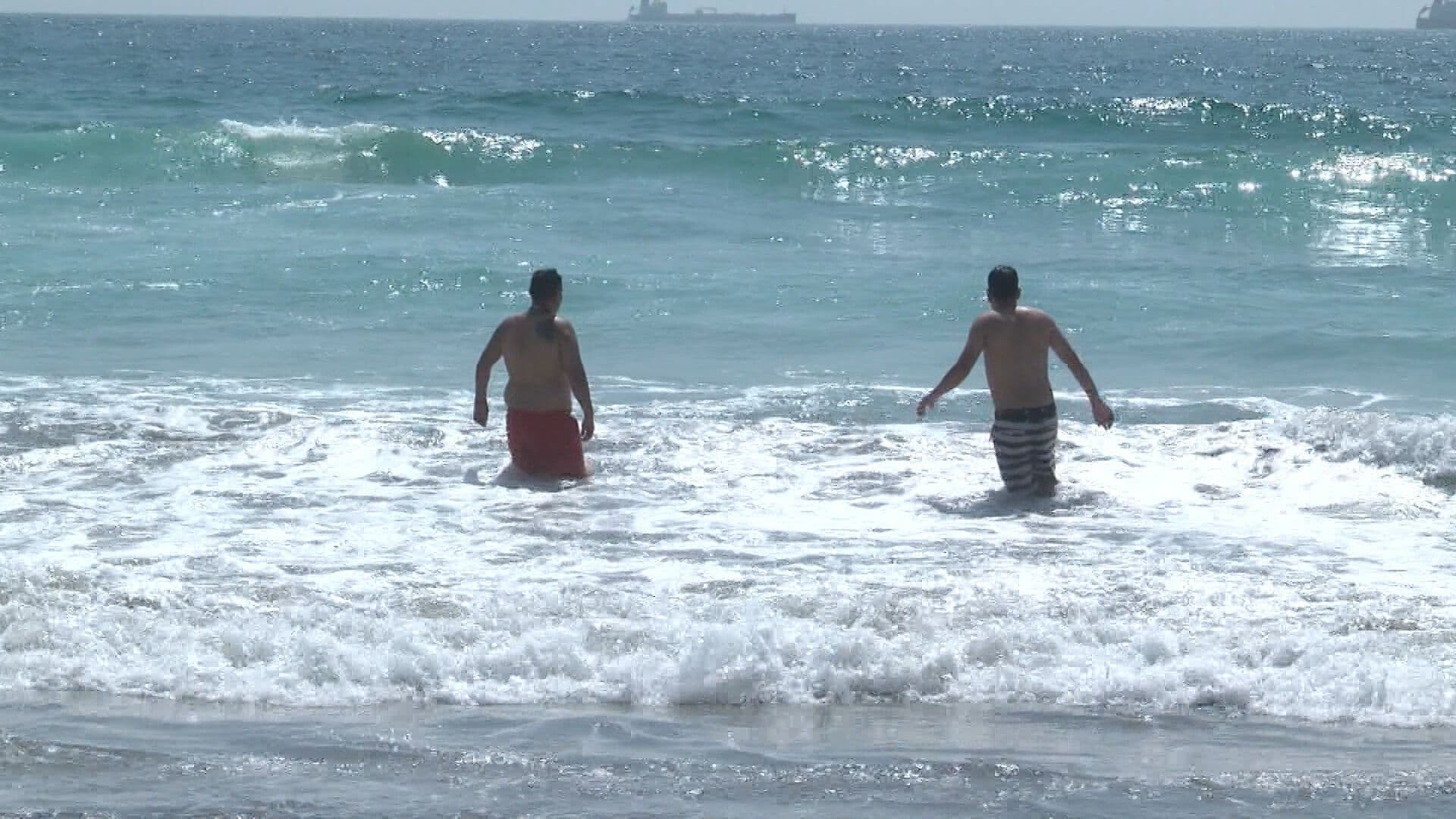 Registran Hasta 70 Picaduras de Mantarraya Durante el Verano en Playas de Rosarito