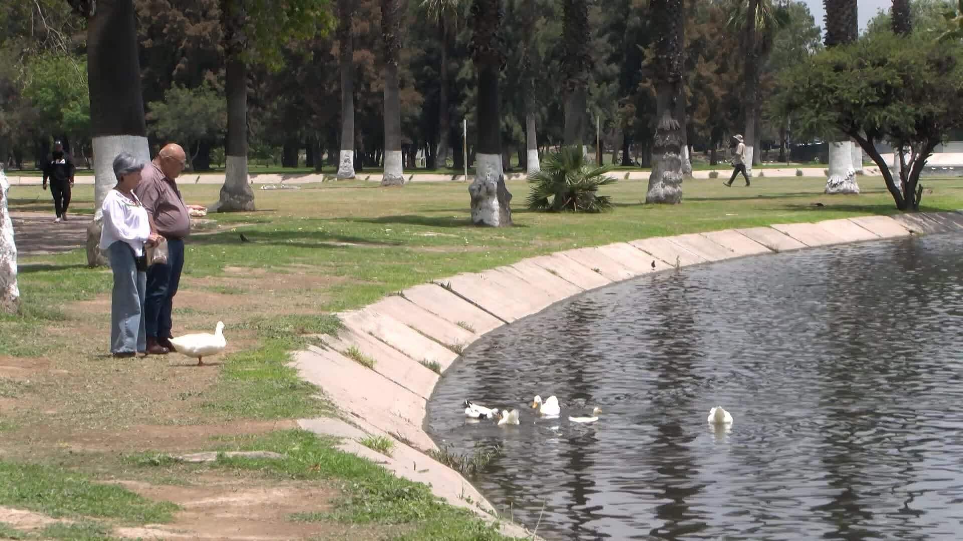 Nueva Dirección de Parques Tangamanga Detecta Áreas Descuidas por las Lluvias en SLP
