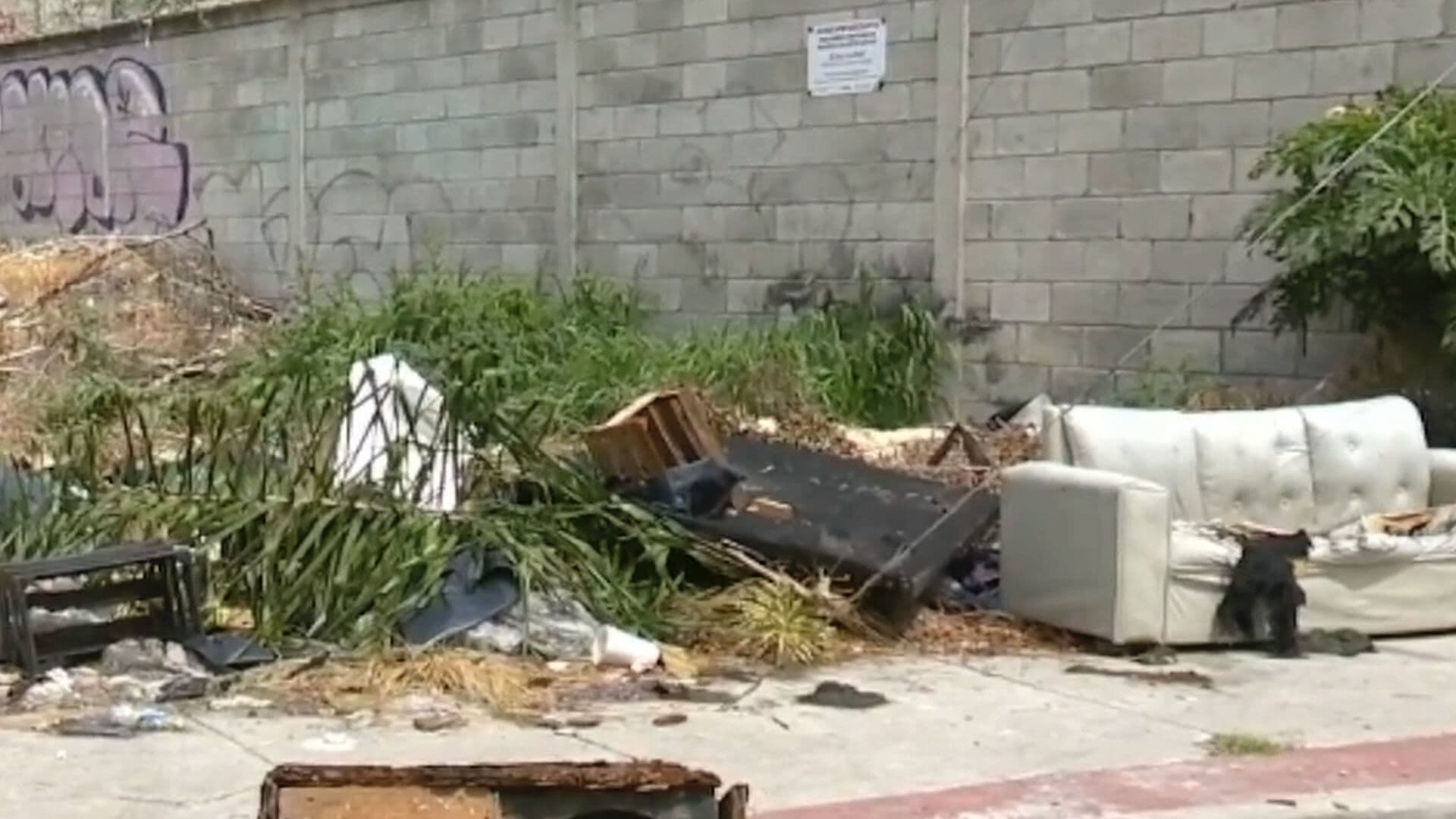 Usan Calles de la Colonia Campestre de Jerez como Basurero; Vecinos Piden Apoyo