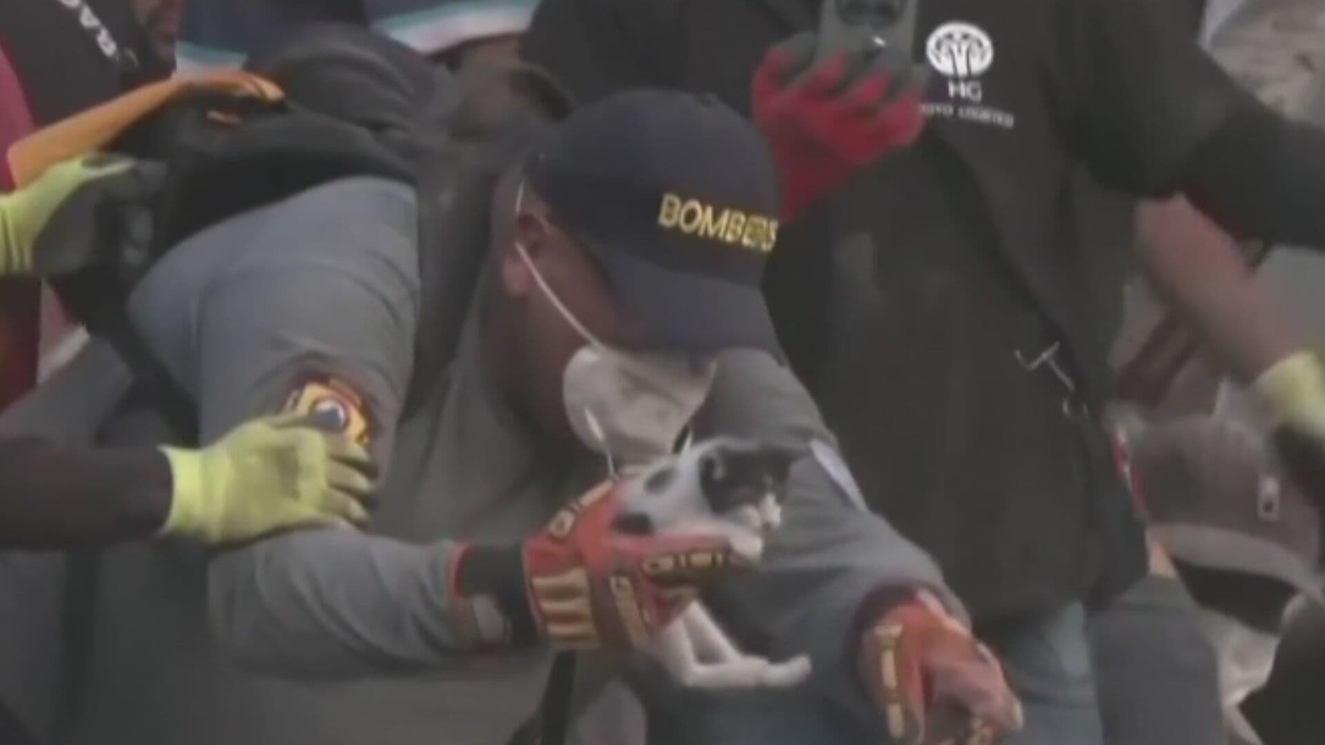 VIDEO | Rescatan a Pequeño Gato de Entre los Escombros en Colombia
