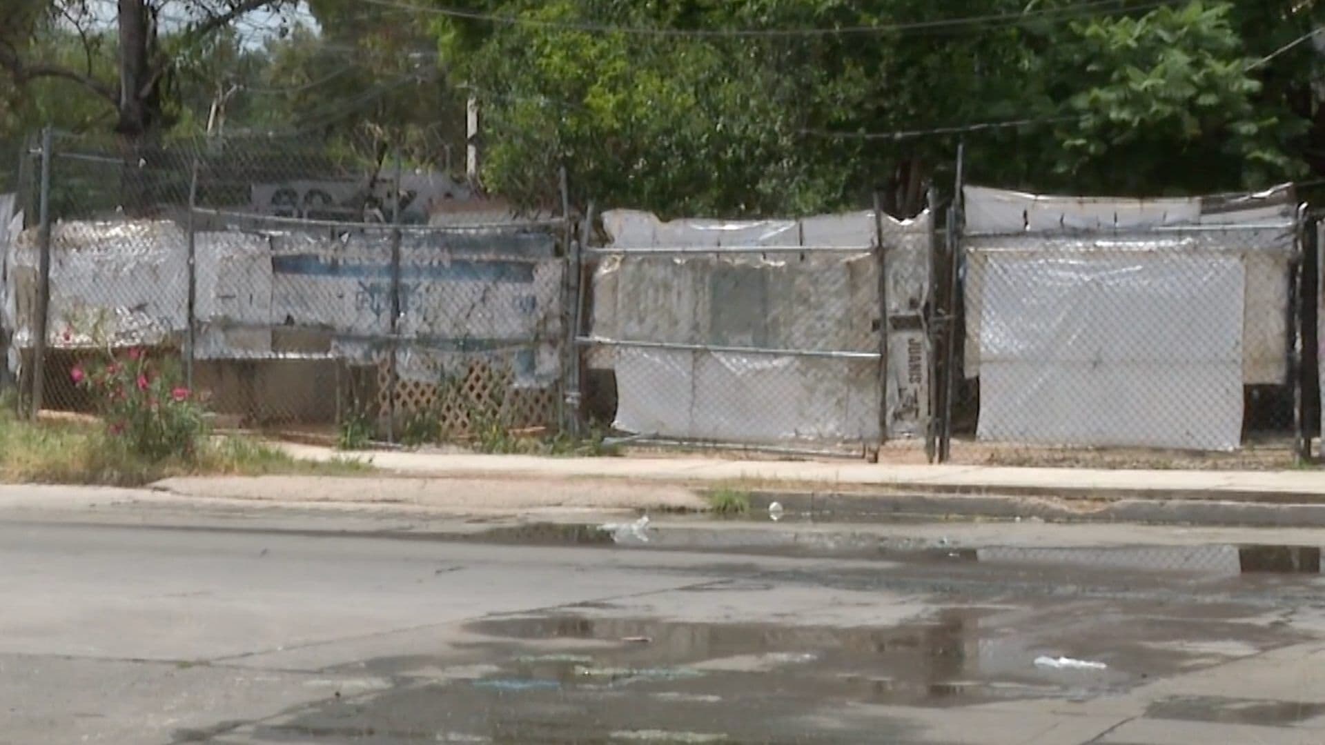 Aguas Negras Afectan a Potreros del Oeste, Aguascalientes, Desde Hace Más de un Año