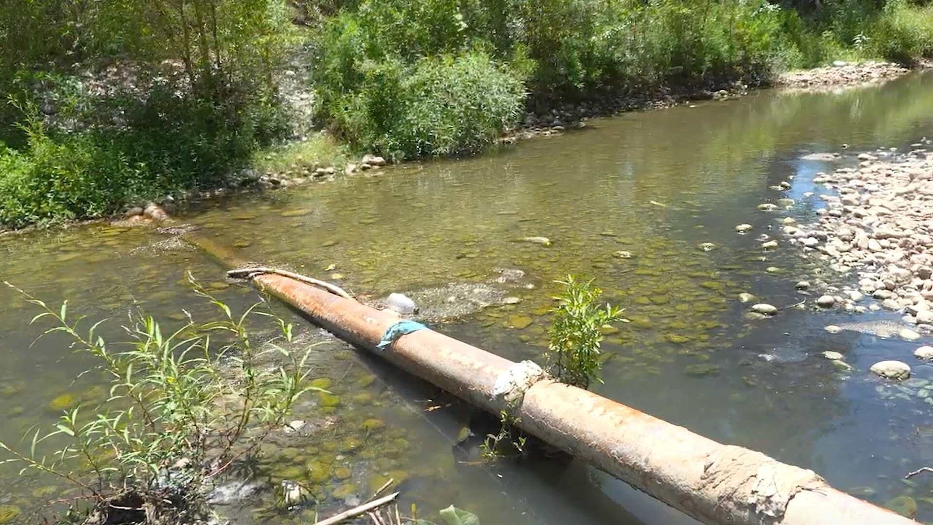 Vecinos Alertan Muerte de Peces por Contaminación con Aguas Negras en San Joaquín en Linares, NL