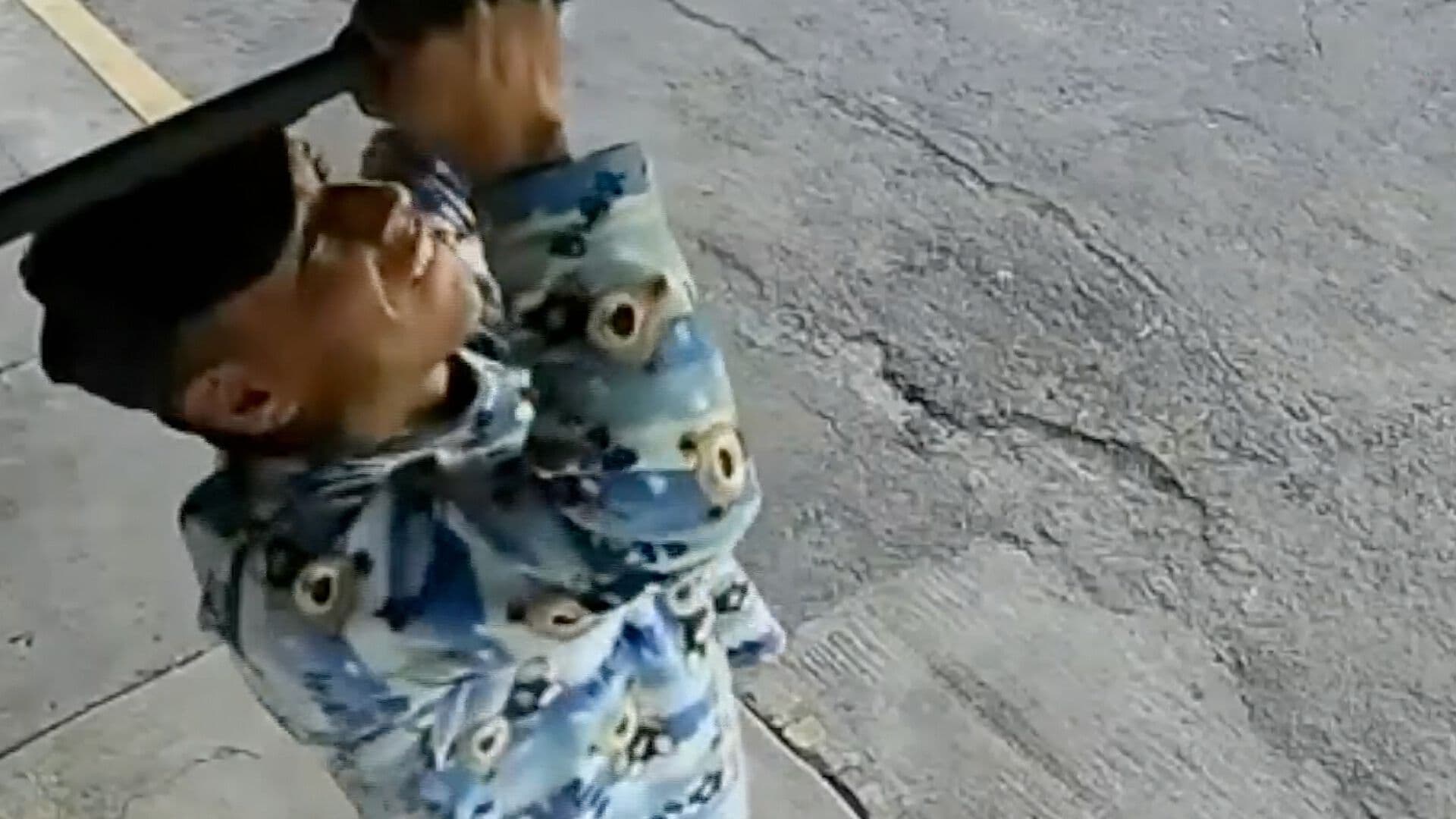 Video Robo Luminaria Negocio Ladrón Acompañado Perro San Martín Texmelucan Puebla