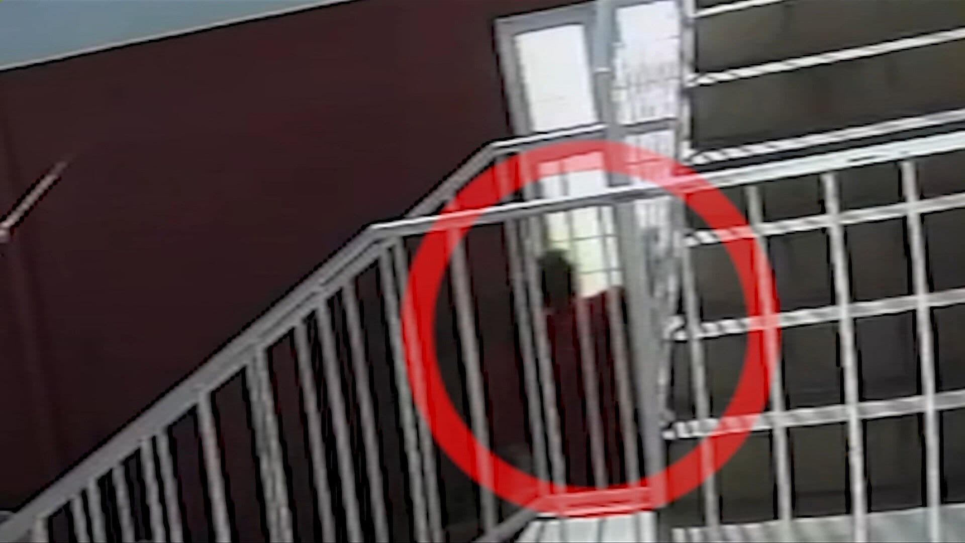 Sobrinos Invaden Casa de Ebelia de 87 Años en Coyoacán: Así la Amenazan y se Burlan