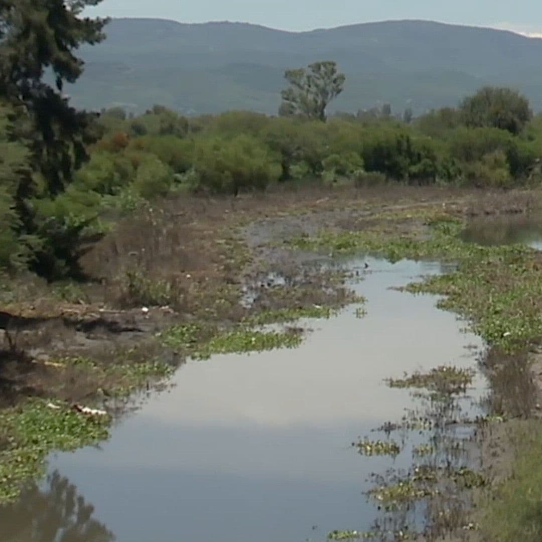 Agua del Río Turbio en Guanajuato Puede Causar Enfermedades Por Los Contaminantes Que Contiene