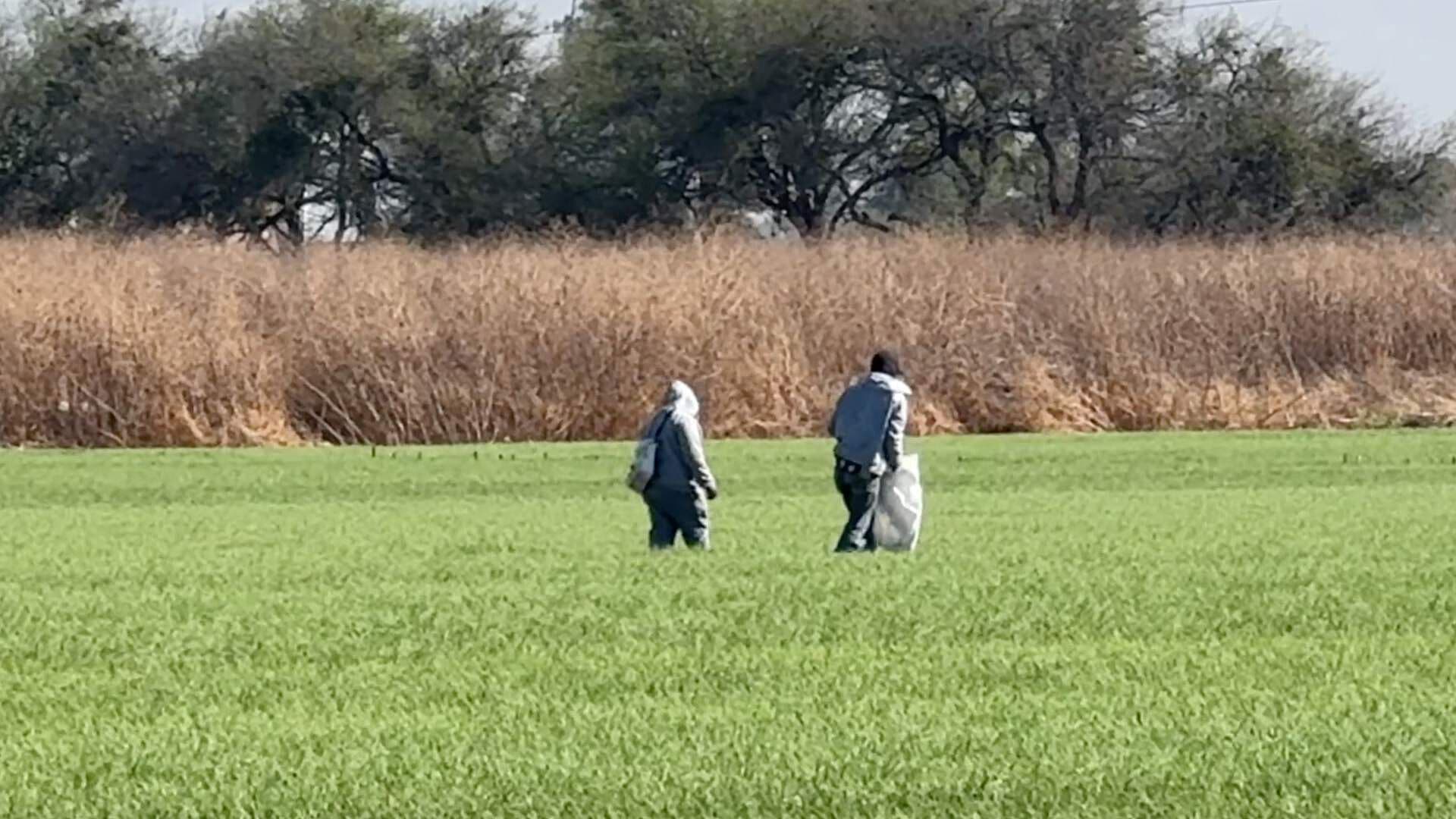Productores del Campo en Guanajuato Son Víctimas de la Extorsión