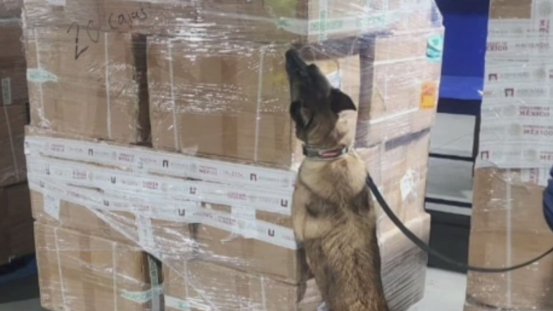 Aseguran Cigarros Ilegales en el AICM Provenientes de Bangkok, Tailandia