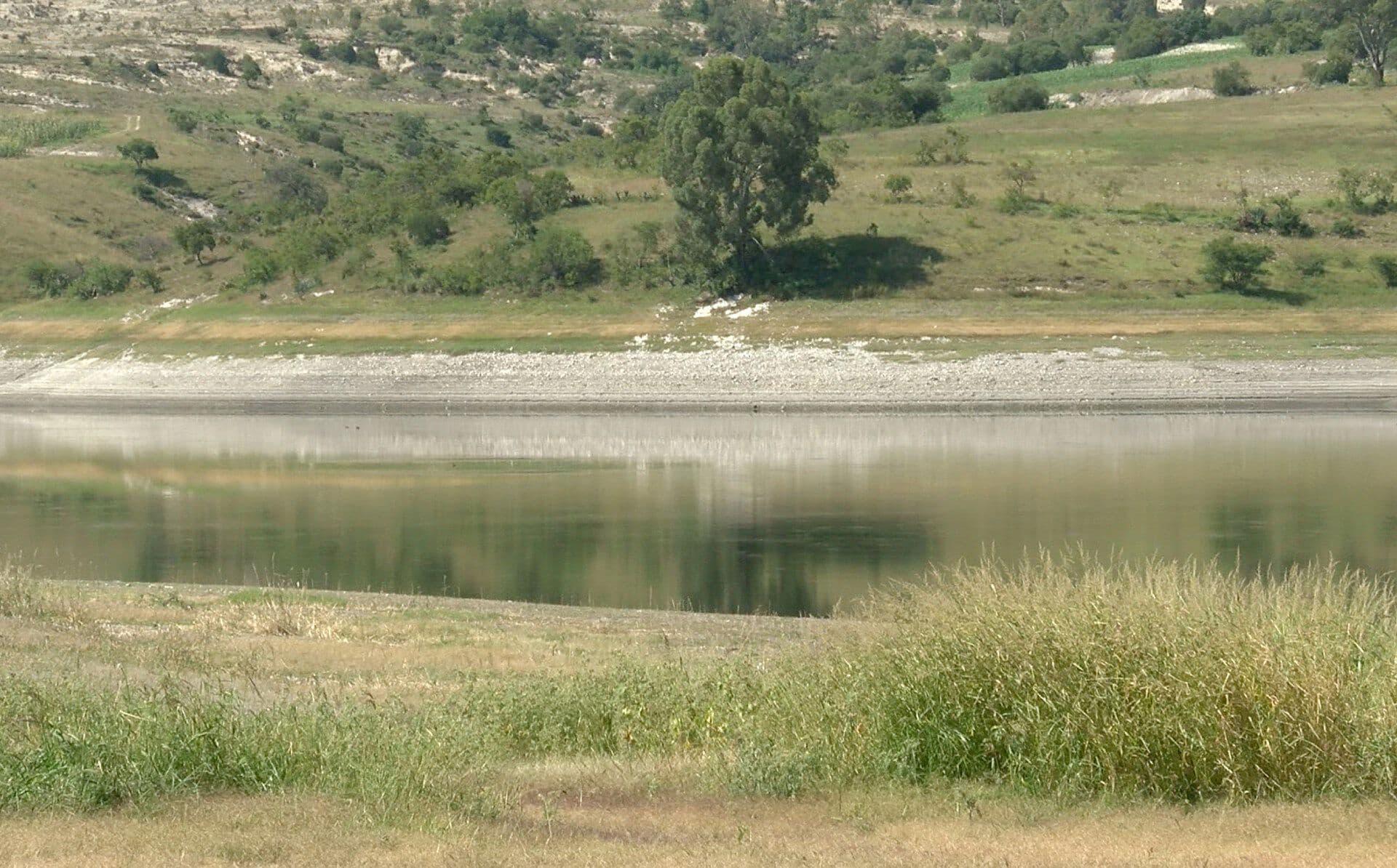 Avistamiento de Cocodrilo Presa Valsequillo Manuel Ávila Camacho de Puebla