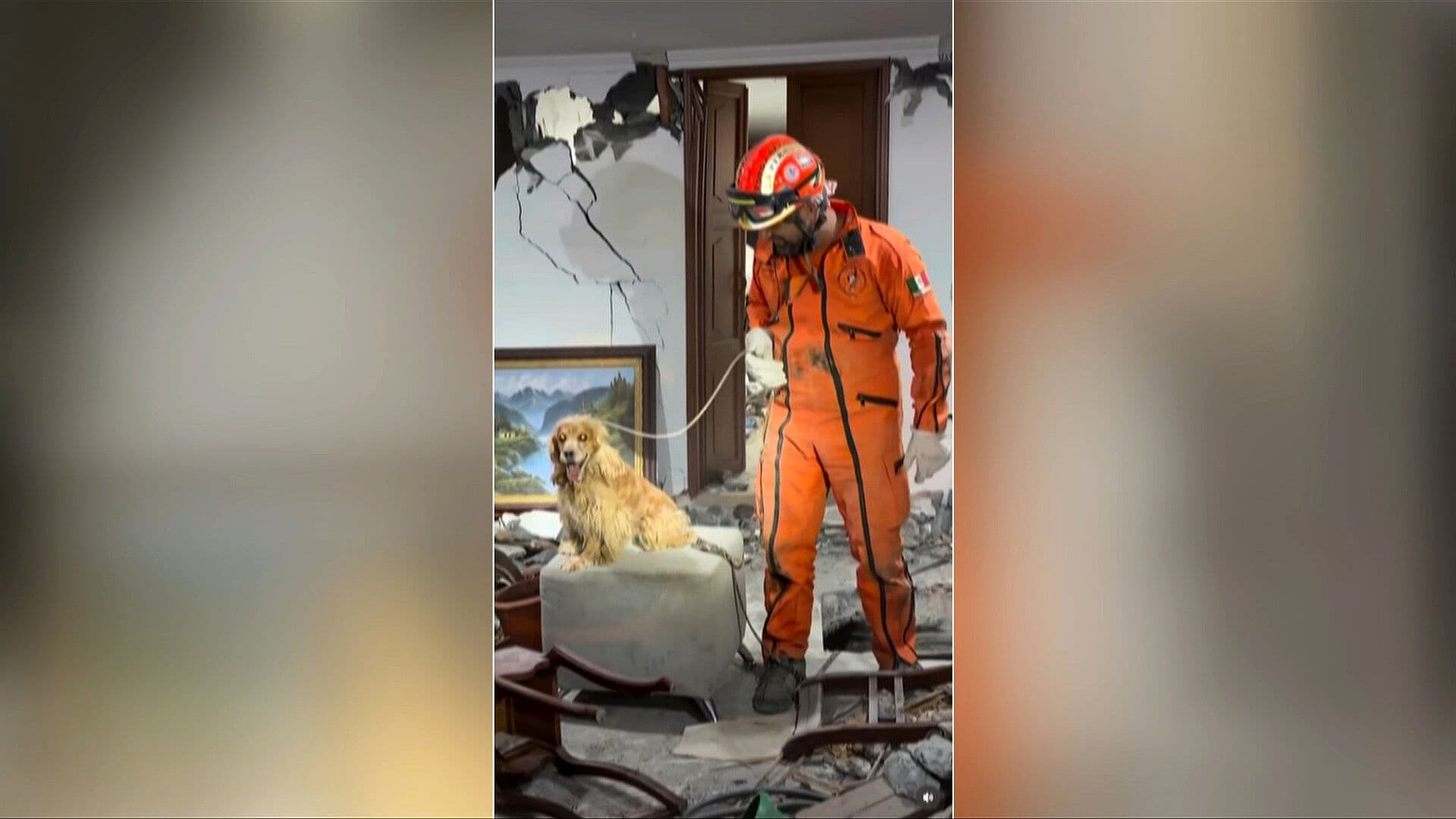 Topos Azteca Logran su Primer Rescate en Colombia: Salvan a Perro en Cali