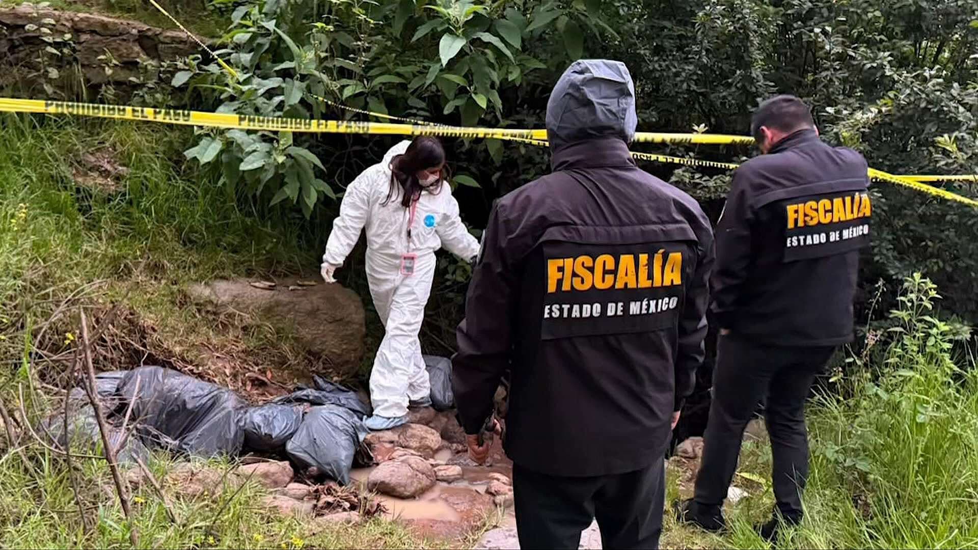 Edomex Investiga Hallazgo de Restos de Varios Perros en Bolsas en Naucalpan