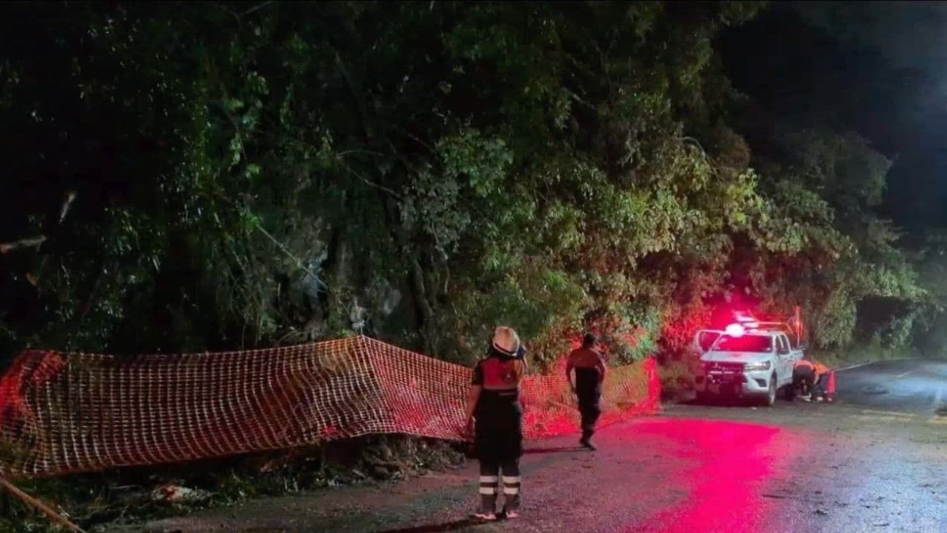 Fuertes Lluvias Causan Caída de Árbol y Provoca Cierre Carreteo en Ixtaczoquitlán