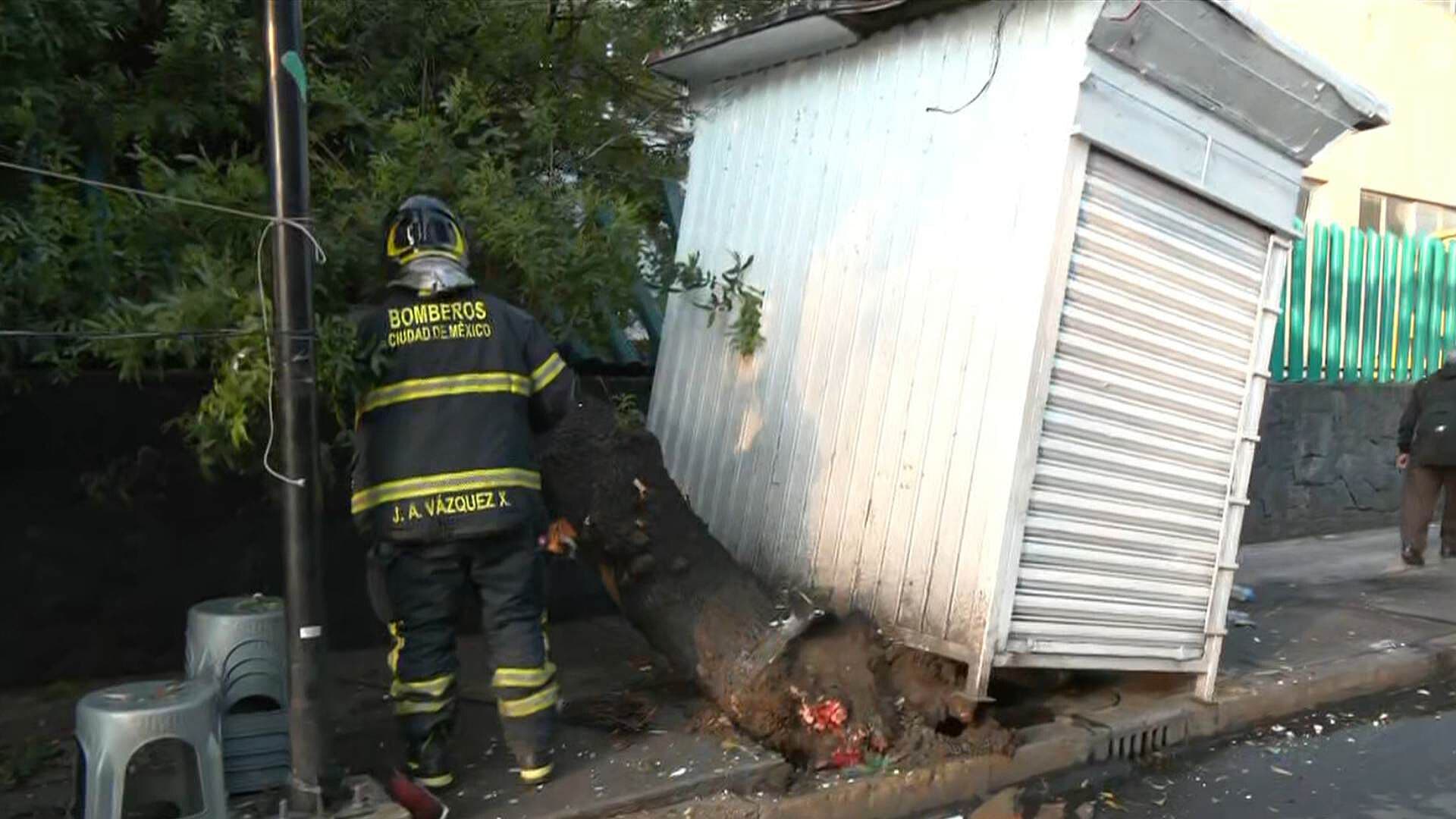 Camión Daña Puesto Semifijo, Tira Árbol y Escapa, en Calzada de Tlalpan