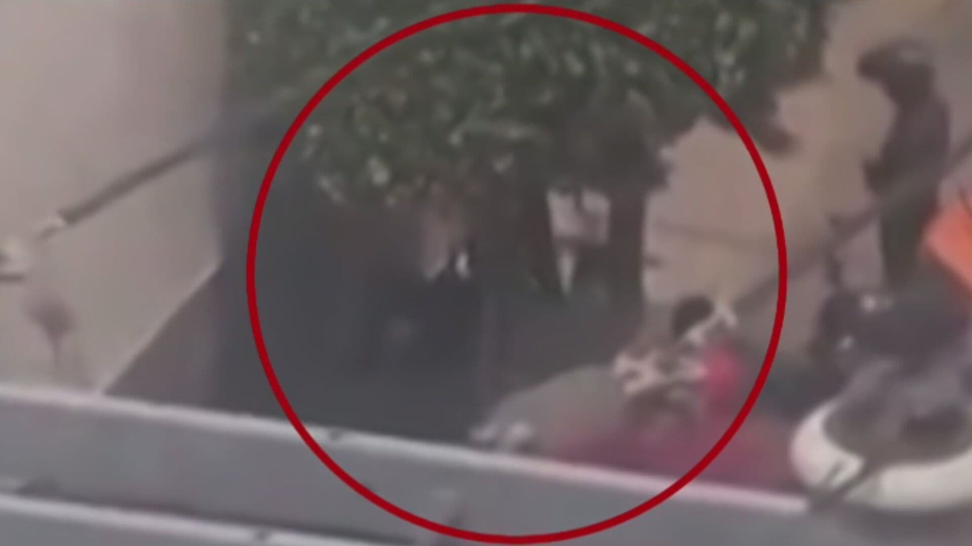 VIDEO | Graban a Policías Pateando a una Persona en Calles de Guadalajara