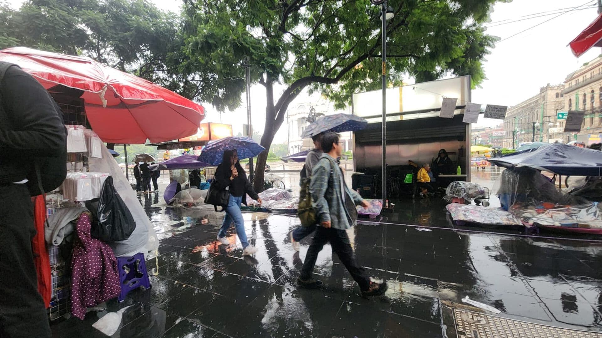 Viernes de Tormenta: Inundaciones y Granizada Golpean al Valle de México