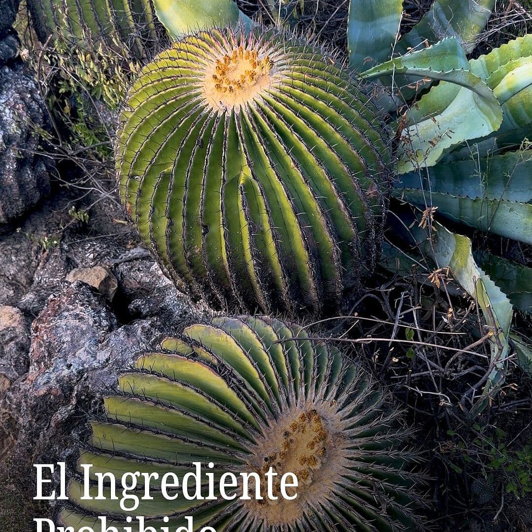 El Ingrediente Prohibido