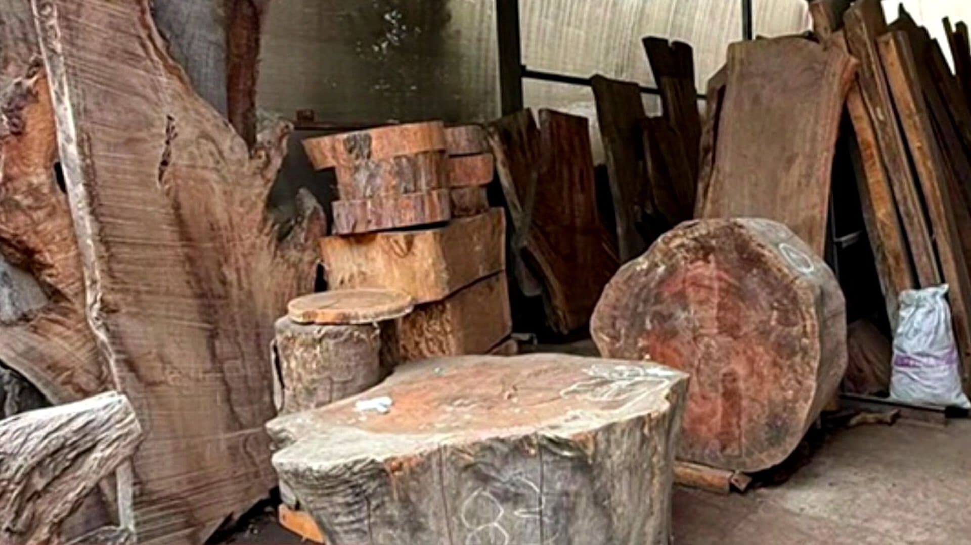 Aseguran 2 Mil Metros Cúbicos de Madera en Tlalpan, CDMX