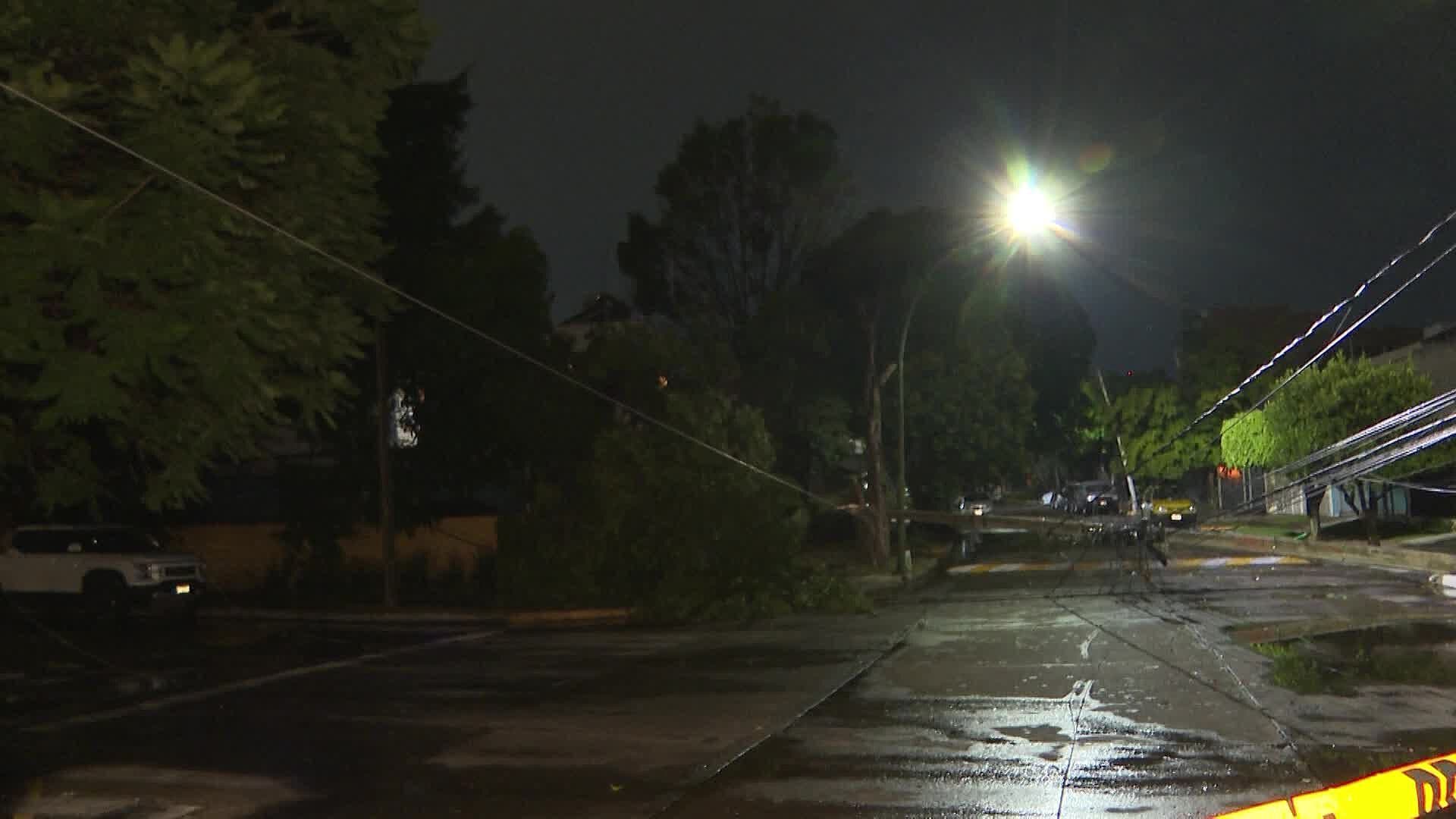 Lluvia Deja Árboles Caídos y Cortes de Luz en la Zona Metropolitana de Guadalajara