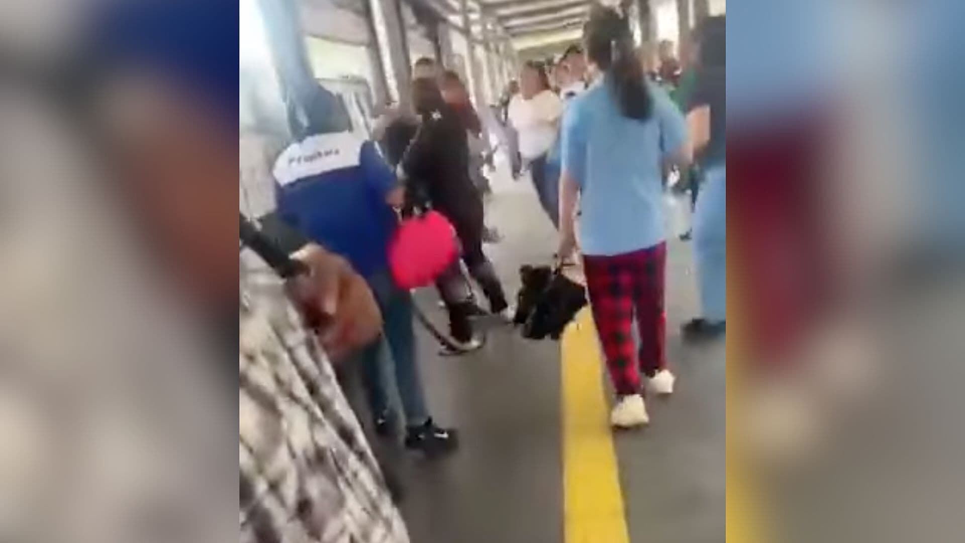 Mujer Es Golpeada en Unidad de Transporte de Puebla; Investigan a Carteristas