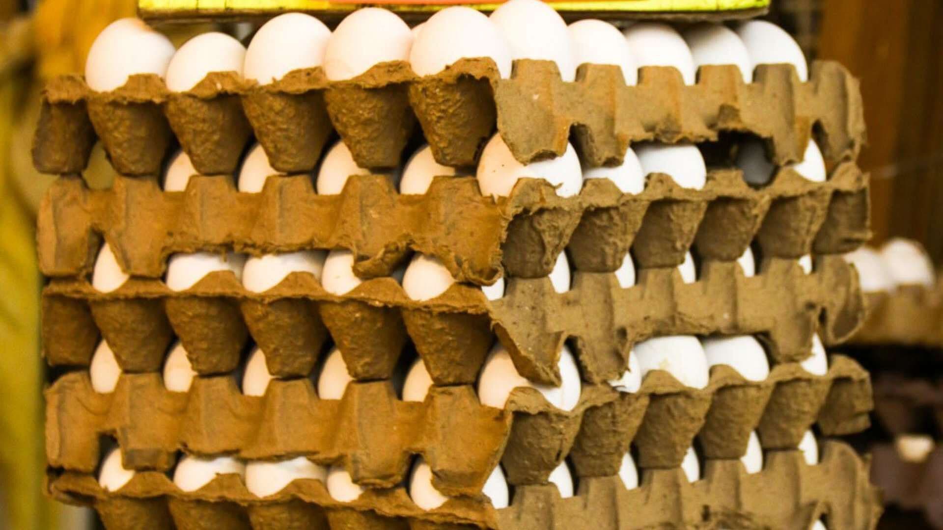 Alerta Sanitaria en EUA: Retiran del Mercado 1.5 Millones de Huevos por Salmonella