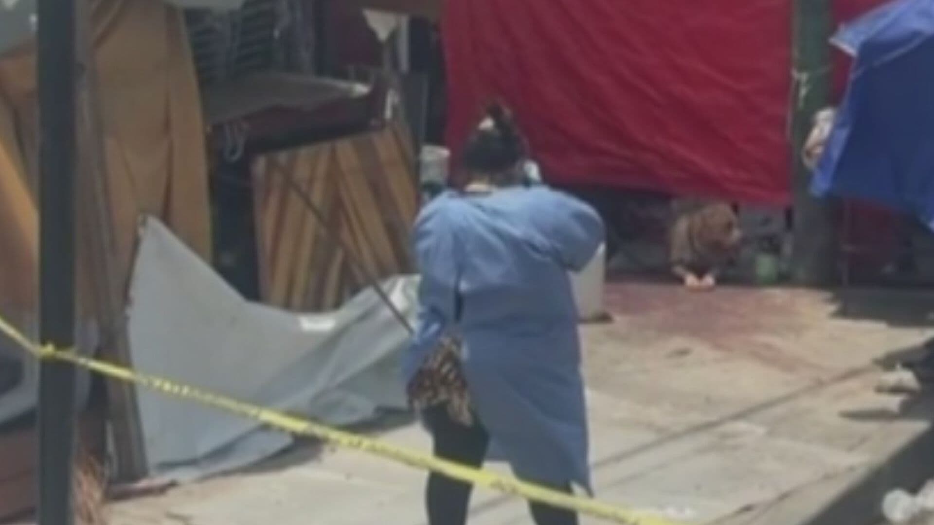Pitbull Muerde y Mata a Un Hombre en Paradero de Indios Verdes