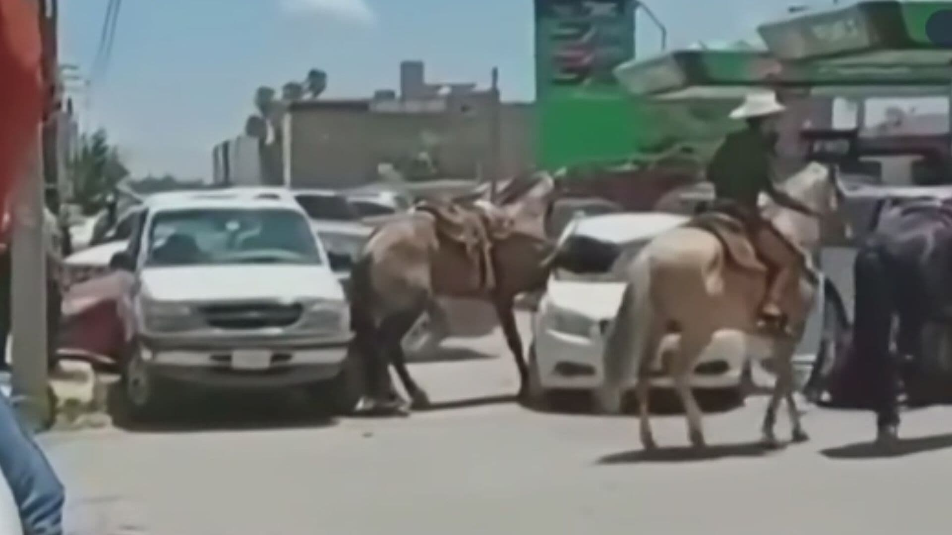 VIDEO | Caballo Fuera de Control Se Sube a un Auto en Durango