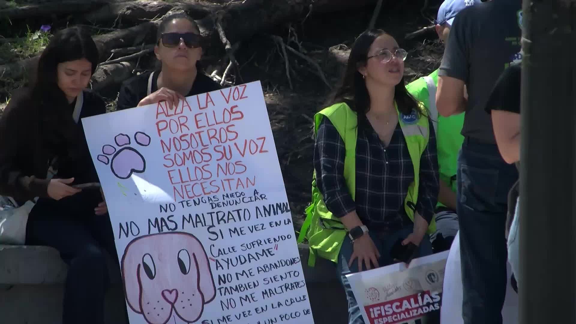 Colectivos Marchan en Querétaro para Exigir Penas Más Severas por Maltrato Animal