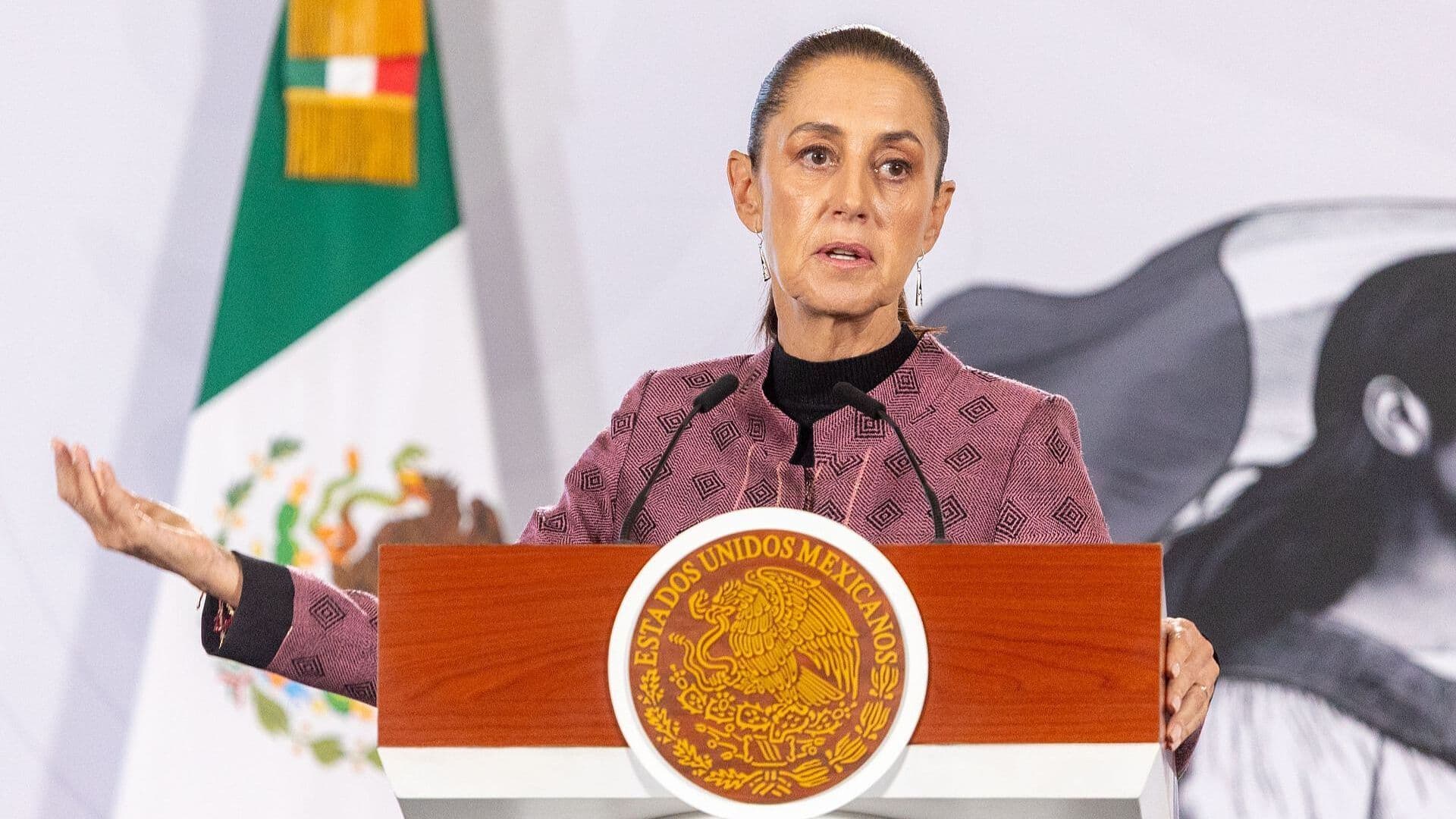 Ana Laura Magaloni: ‘Sheinbaum Debe Hacer Sentir que Ella Lleva el Mando’