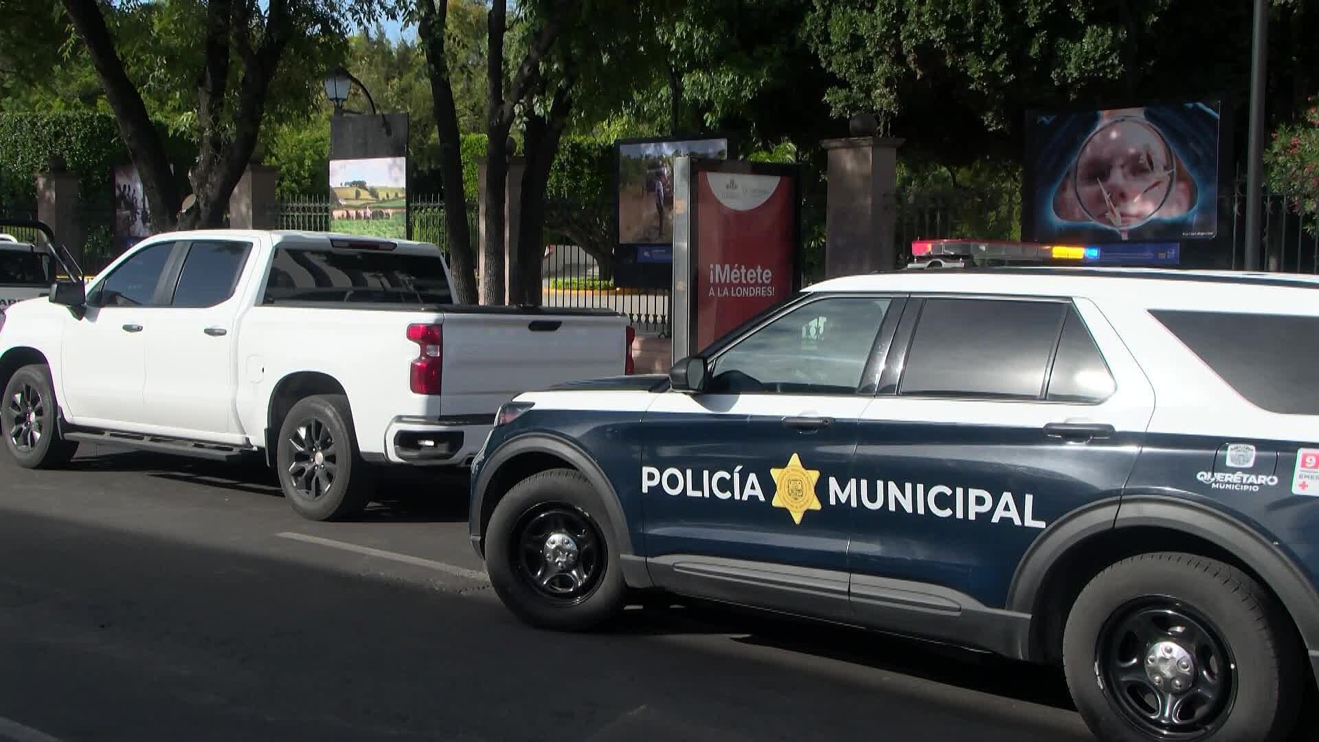 Fiscalía de Querétaro Investiga Caída de Árbol que Dejó un Muerto y un Lesionado