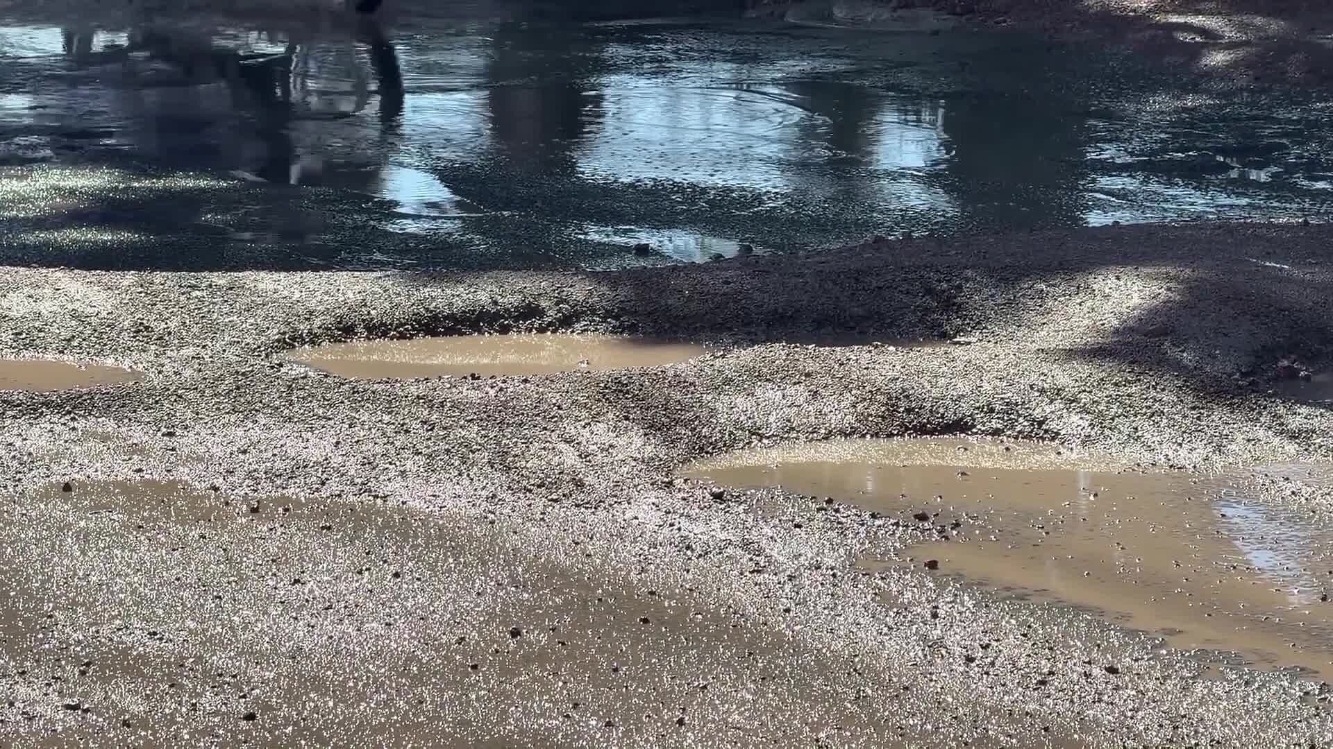 Fuga de Aguas Negras Provoca Baches y Riesgo para Automovilistas en Vista Alegre