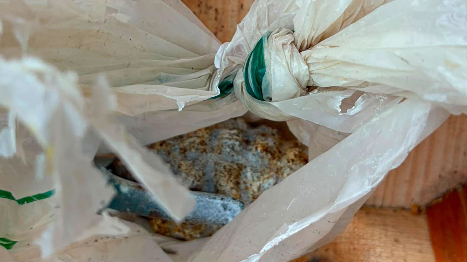 Retiran Artefacto Explosivo en Mercado de Tampico